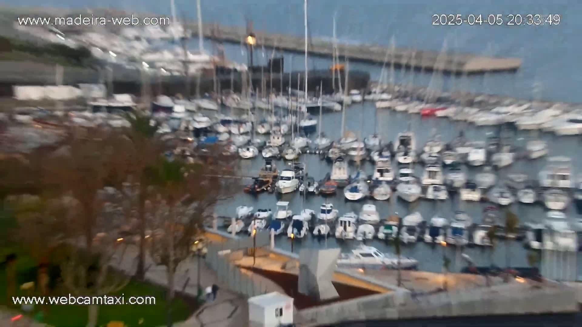 A marina filled with numerous boats is viewed from above at dusk under calm conditions.