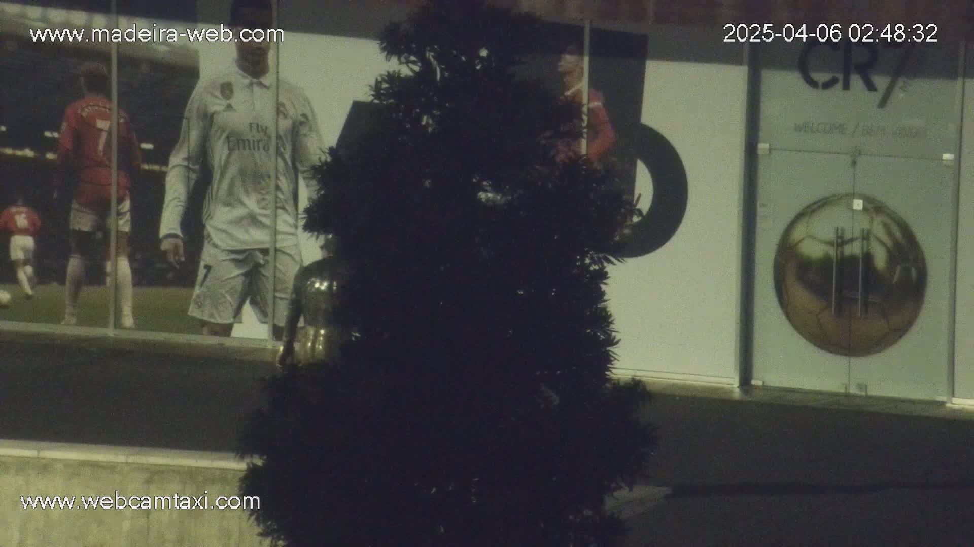 A dark evergreen tree stands in front of a building with large images of soccer players and a circular graphic of a soccer ball on the glass doors.