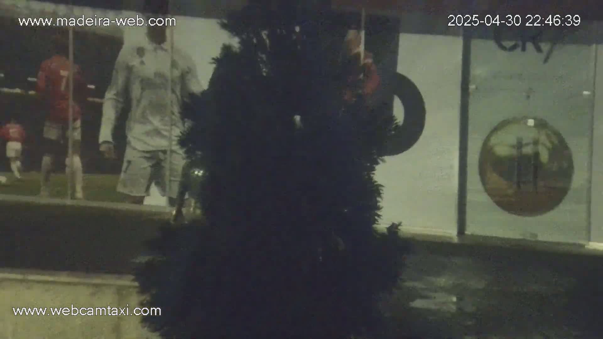 A dark evergreen shrub obscures the view of a nighttime storefront displaying soccer-themed imagery.