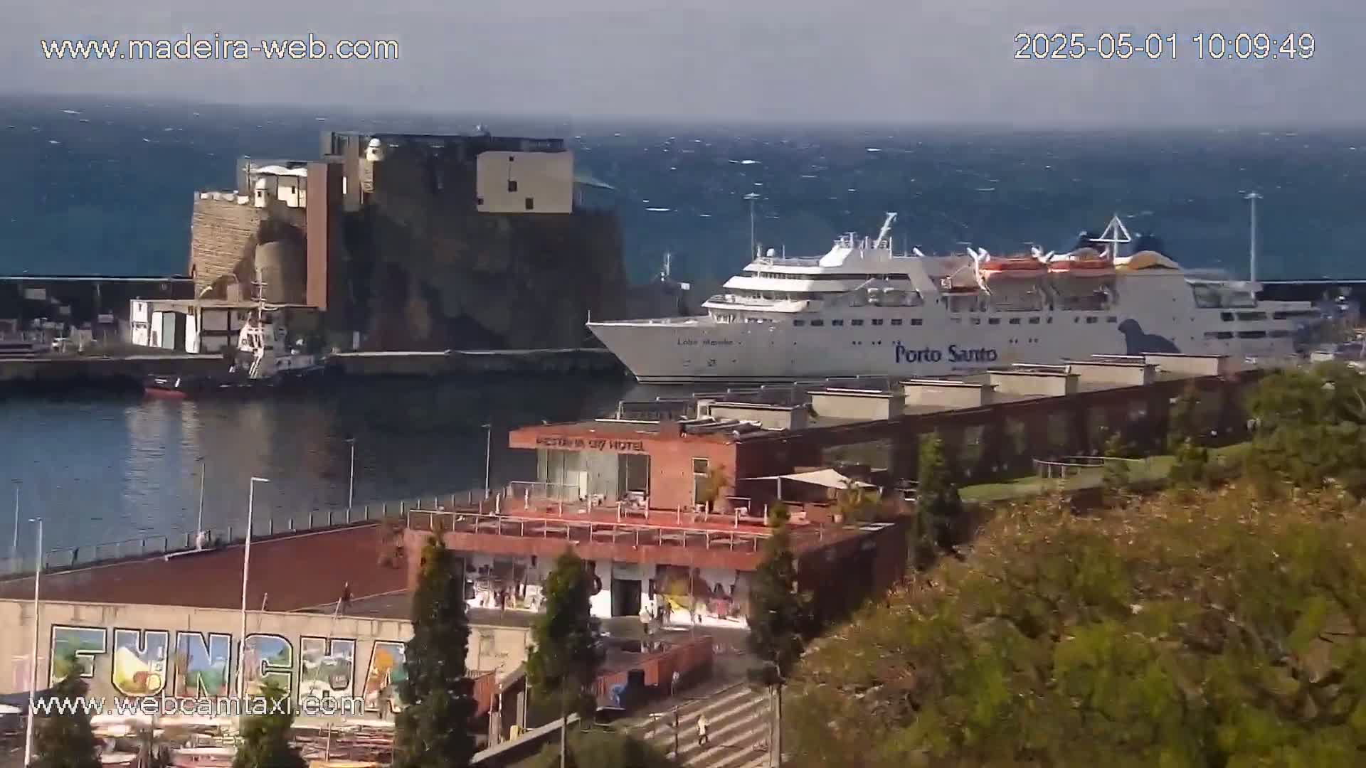 A large cruise ship is docked at a harbor on a windy day, with a smaller tugboat nearby and buildings and vegetation visible in the foreground.