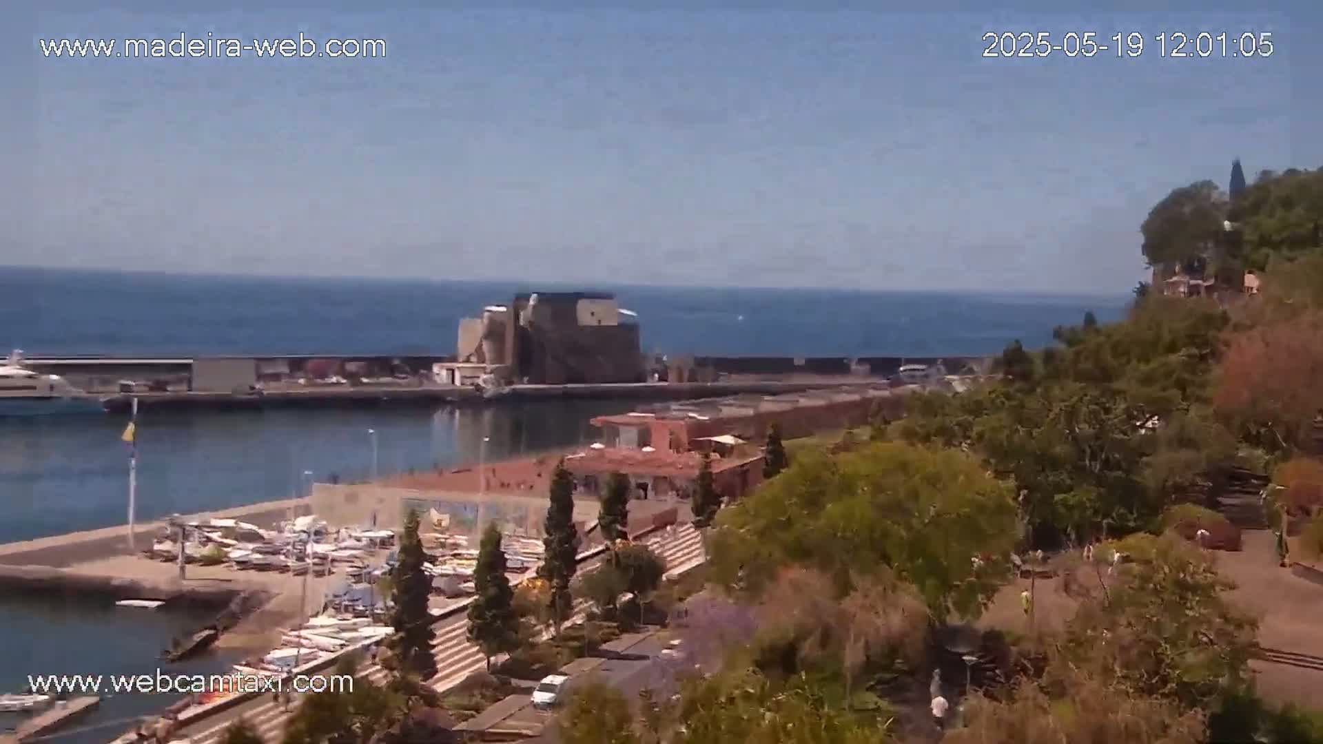 A marina filled with boats is situated below a hillside covered in lush green vegetation, overlooking a calm ocean under a clear, sunny sky.