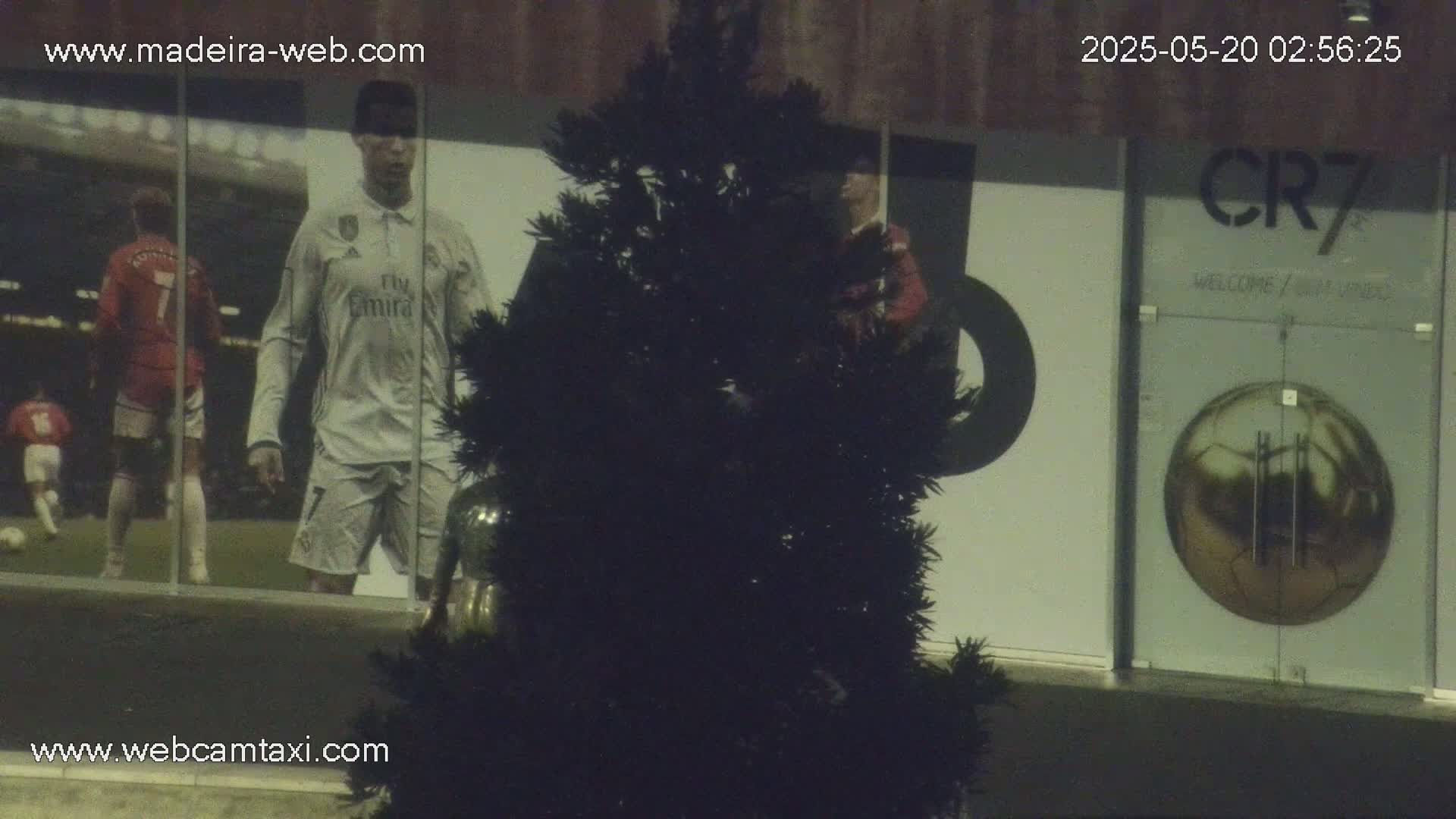 A nighttime view of a building featuring large images of soccer players and a dark evergreen tree in the foreground.
