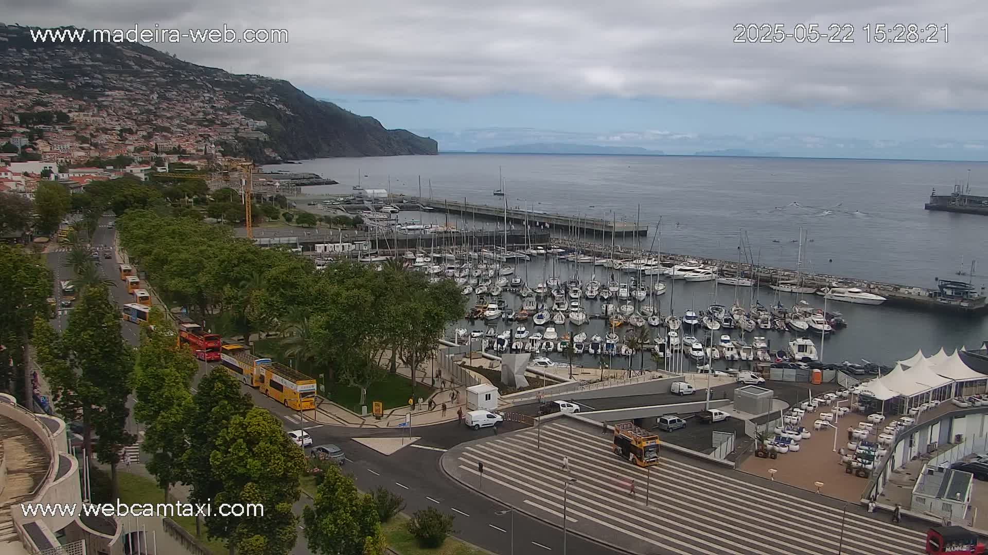 A marina filled with numerous boats is situated next to a town built on a hillside overlooking the ocean under an overcast sky.