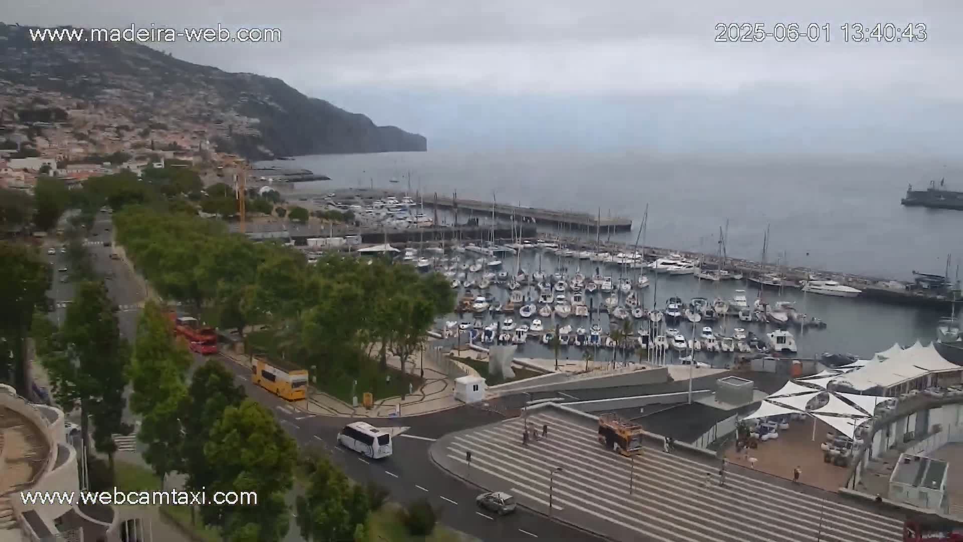 A marina filled with numerous boats is situated near a town nestled against a hillside, all under an overcast sky.