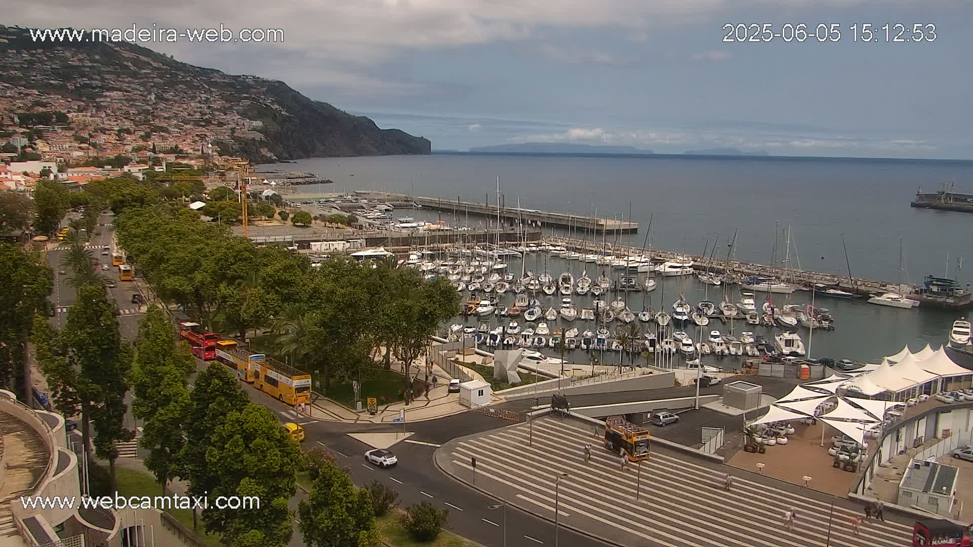 A harbor filled with numerous boats is situated next to a city with green trees and yellow buses, all under a partly cloudy sky.