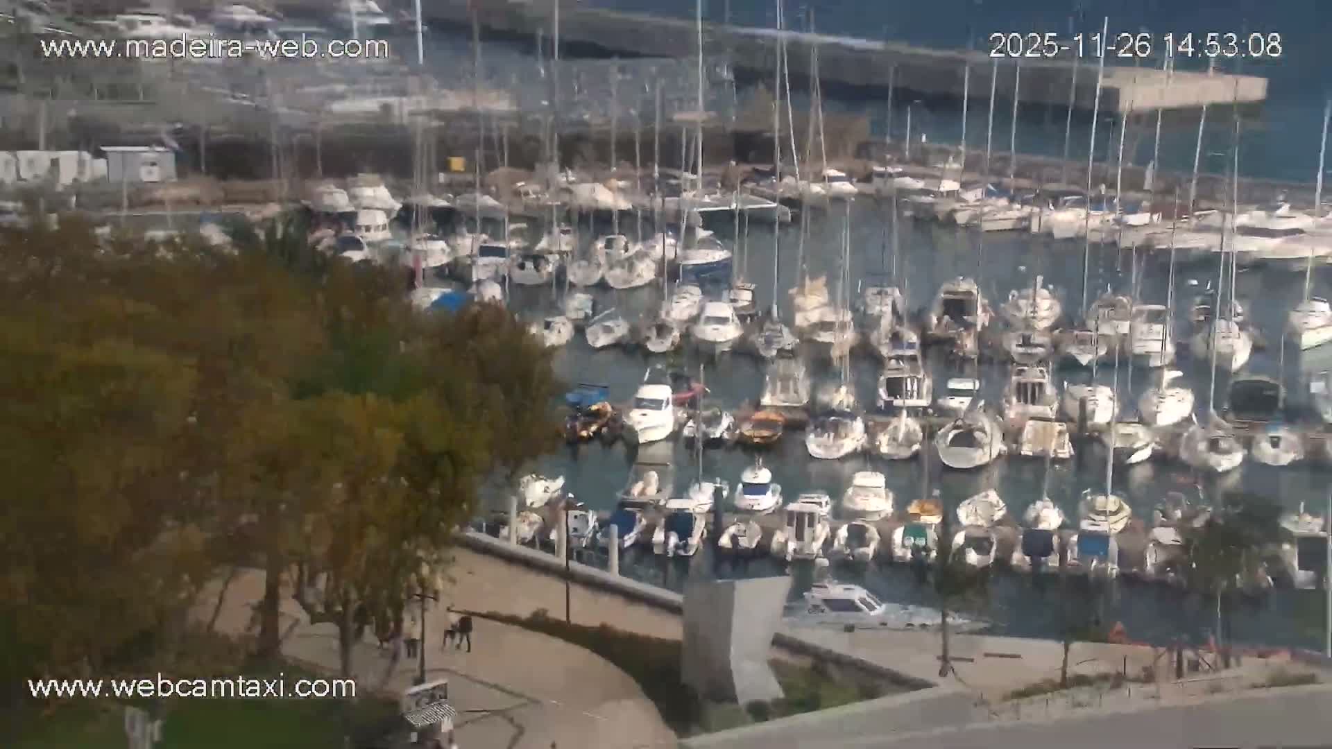 Funchal Marina & Coast Live Cam - Funchal, Madeira, Portugal