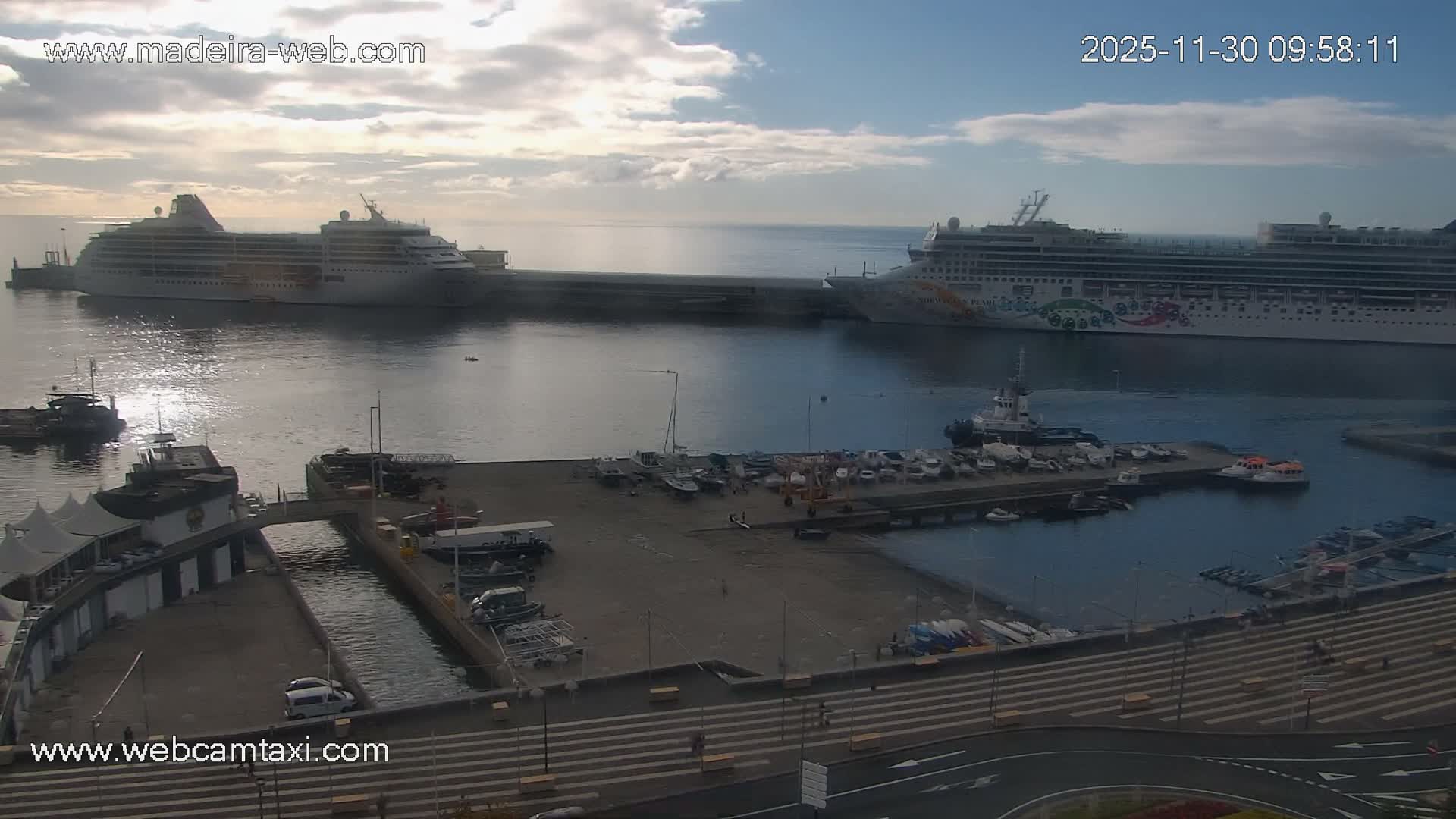 Two large cruise ships are docked in a bustling harbor filled with smaller boats and piers, under partly cloudy skies.