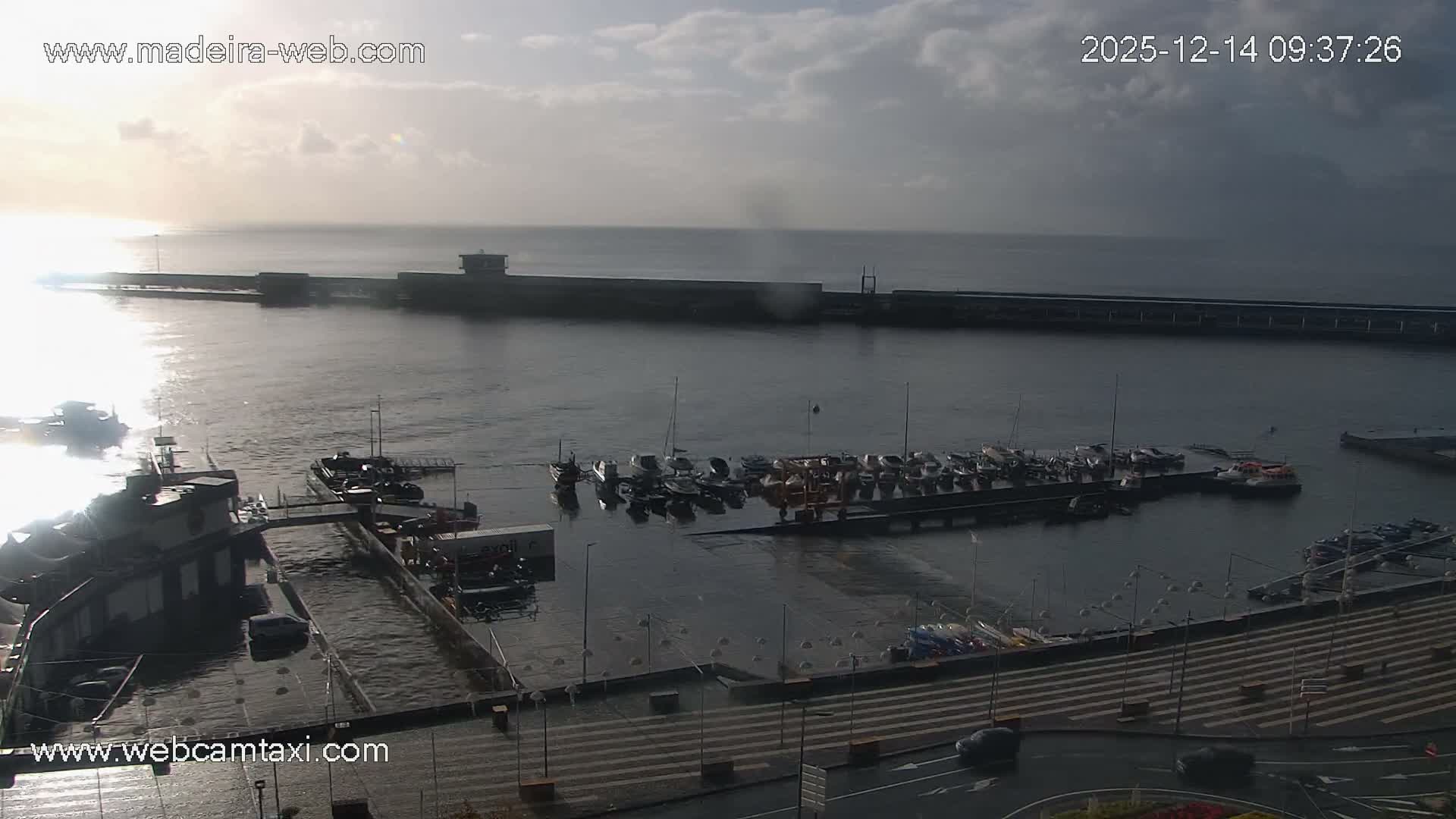 Two large cruise ships are docked in a bustling harbor filled with smaller boats and piers, under partly cloudy skies.
