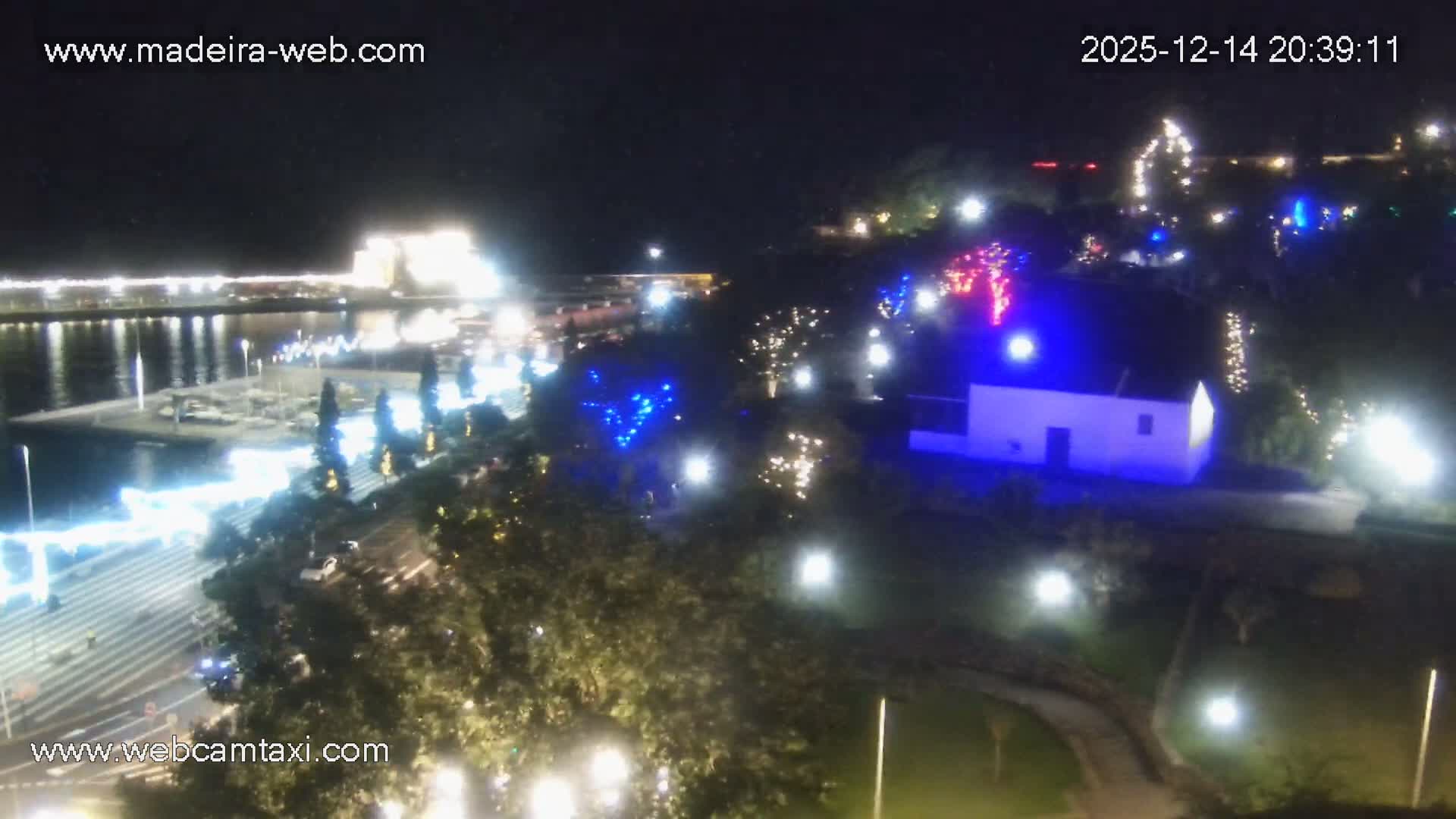 Two large cruise ships are docked in a bustling harbor filled with smaller boats and piers, under partly cloudy skies.