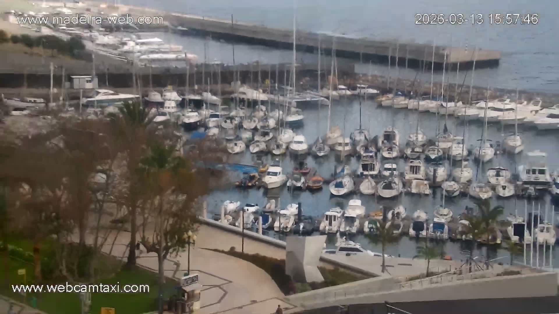 Funchal Marina & Coast Live Cam - Funchal, Madeira, Portugal