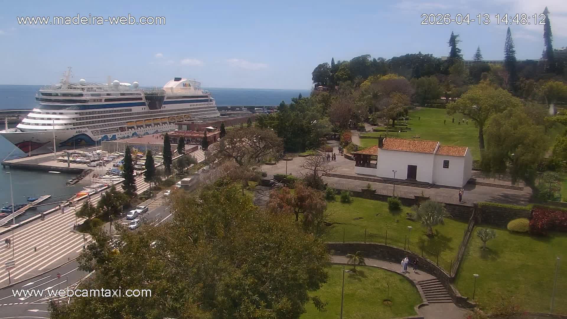 Two large cruise ships are docked in a bustling harbor filled with smaller boats and piers, under partly cloudy skies.
