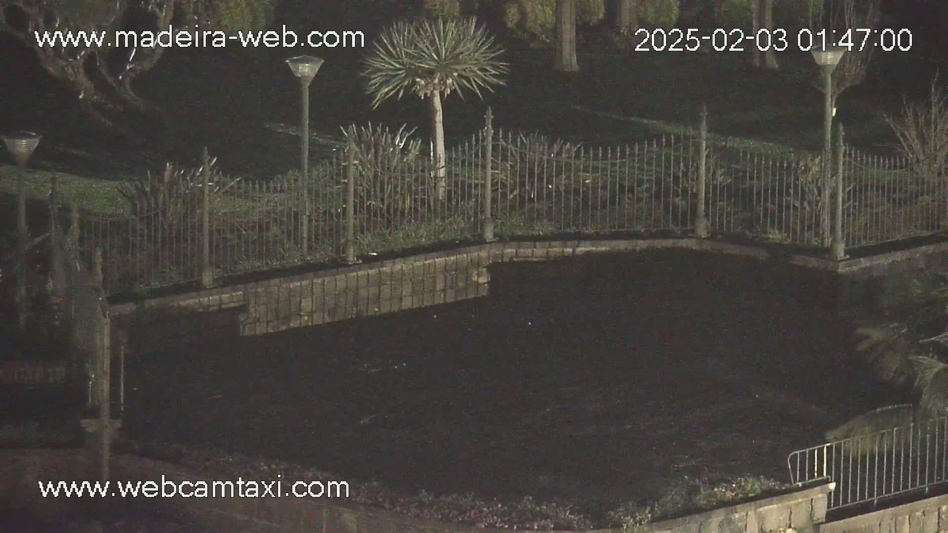 A nighttime view of a dark, fenced-in area with low lighting and a few small plants.