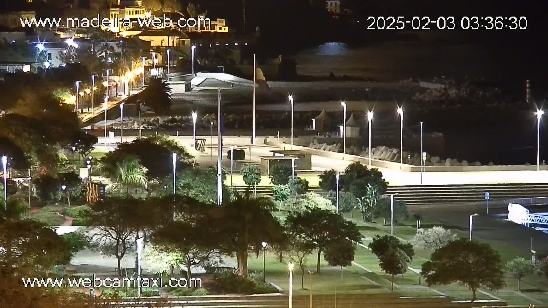 A nighttime aerial view of a park with trees and lights near a waterfront, under clear skies.