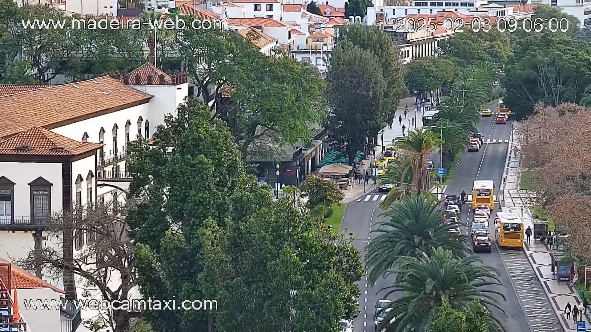 A high-angle view shows a city street with several cars and buses, palm trees lining the road, and a large white building with a red tile roof in the foreground, under a mostly clear sky.