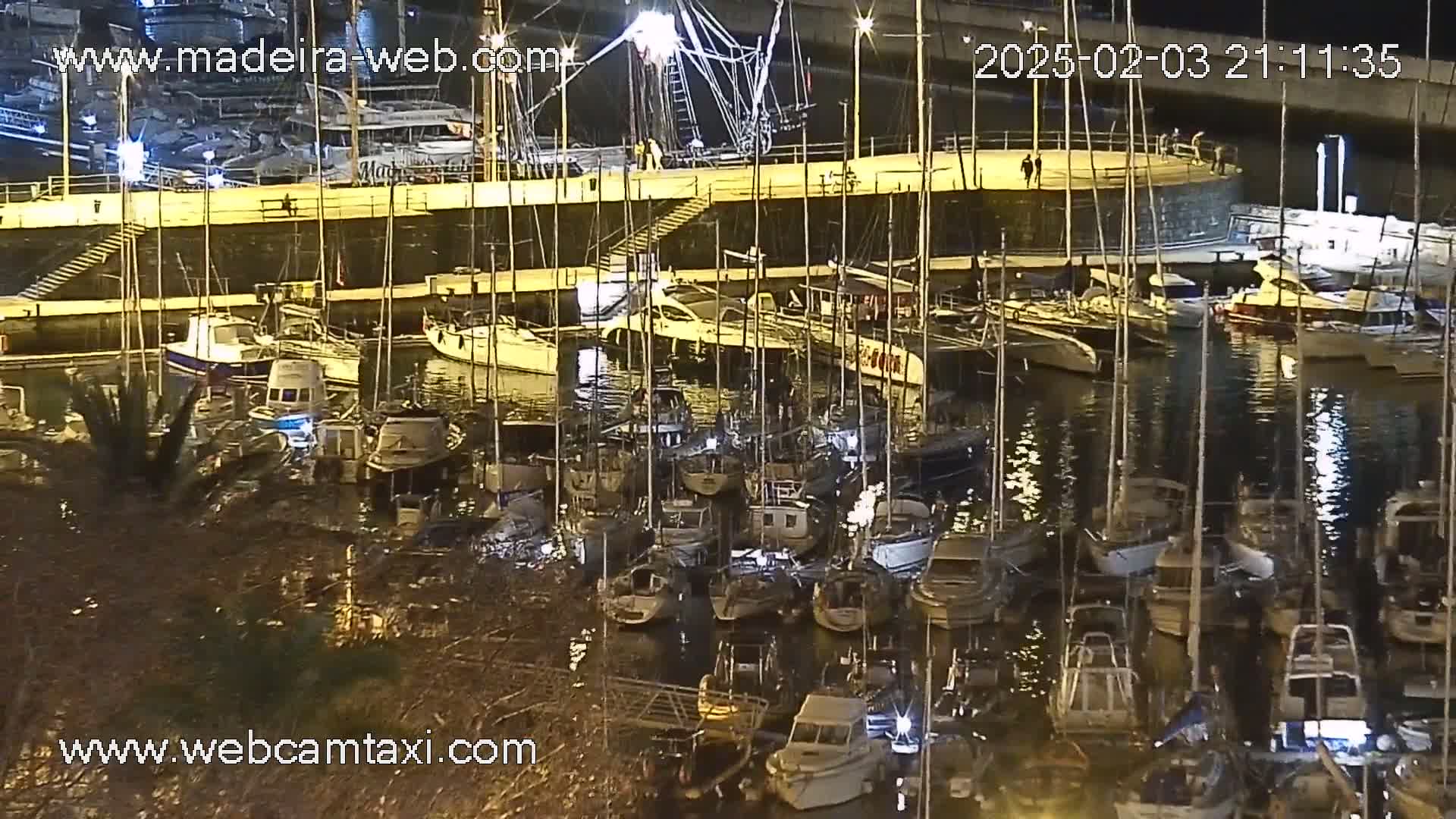 A nighttime view of a marina filled with numerous boats and yachts under artificial lighting, partially submerged in water.