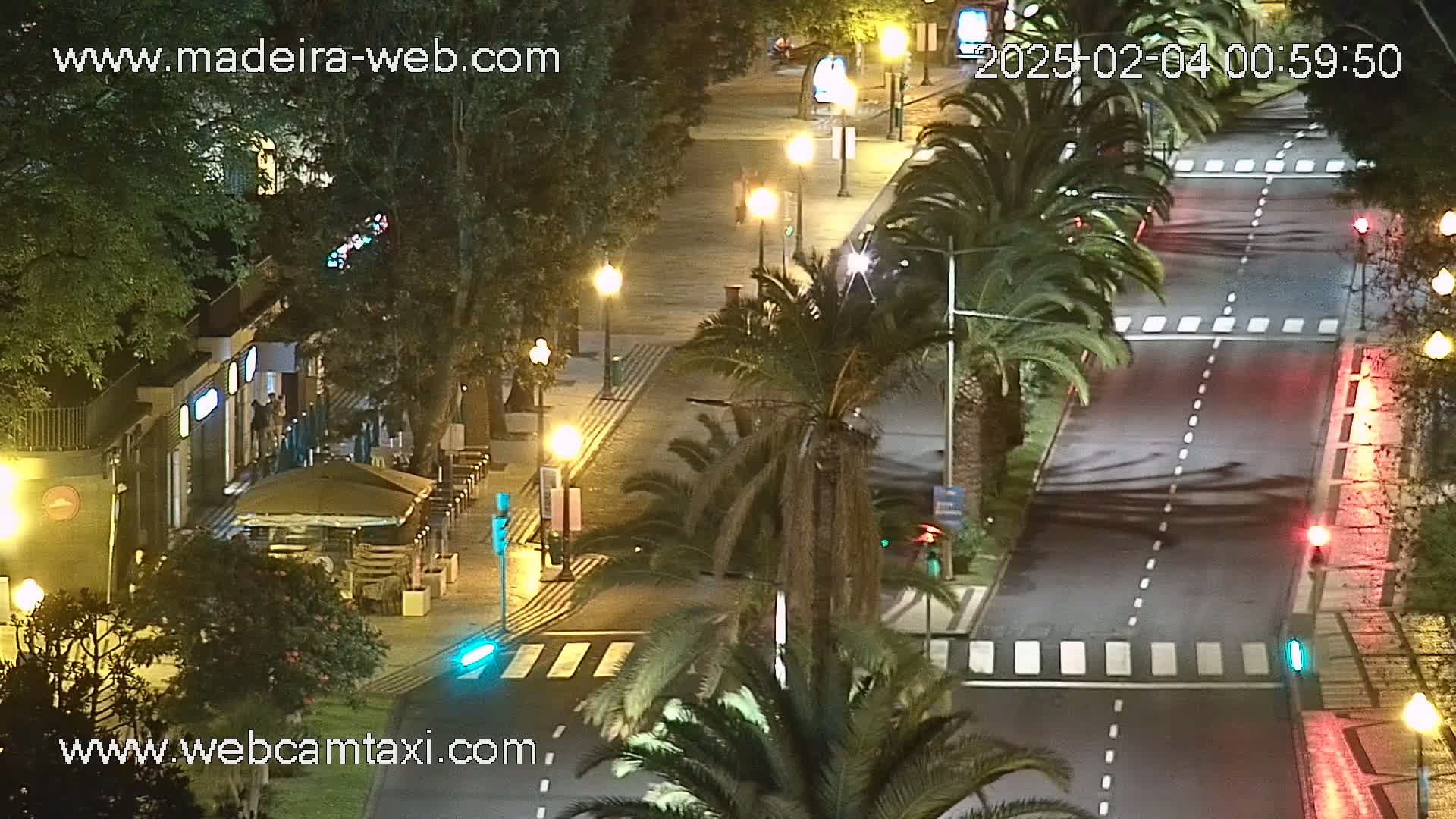 A nighttime, high-angle view of a city street with palm trees lining the sidewalks, streetlights illuminating the scene, and crosswalks on a wet road.