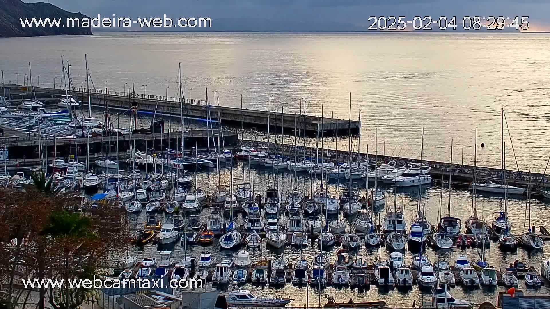 A marina filled with numerous boats and yachts is situated on a calm, sunlit body of water next to a landmass.