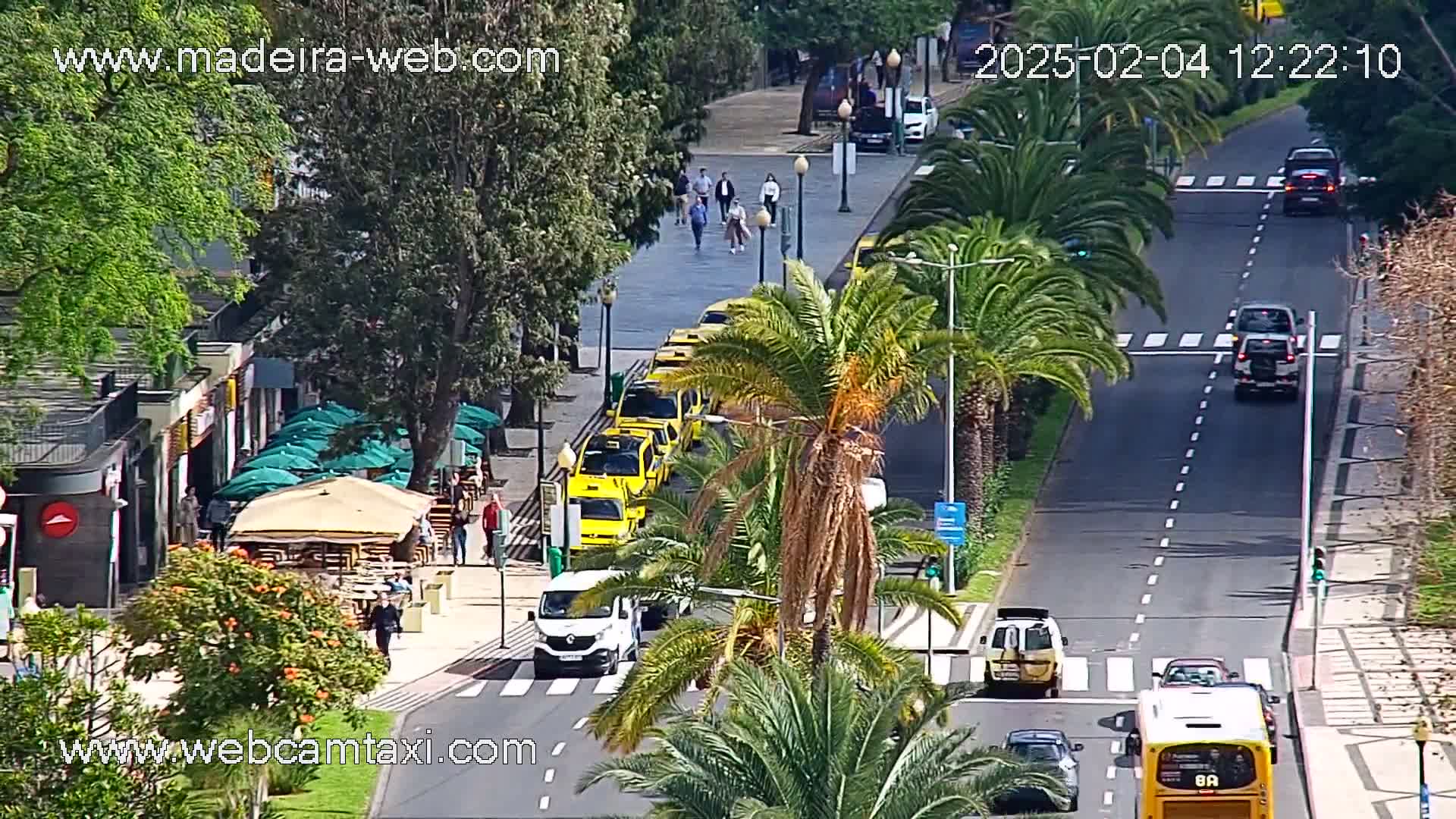 A sunny street scene shows a roadway with various vehicles including taxis, a bus, and other cars, lined with palm trees and outdoor cafes.