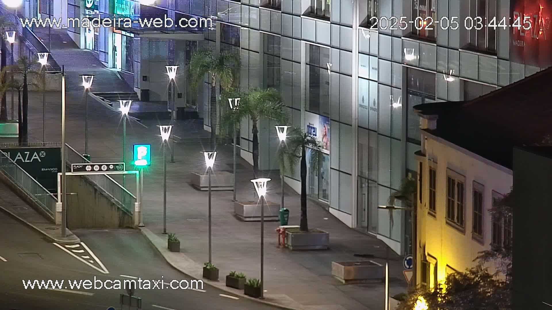 A nighttime view of a plaza with palm trees lining a walkway in front of modern buildings, one of which is older and yellowish in color.