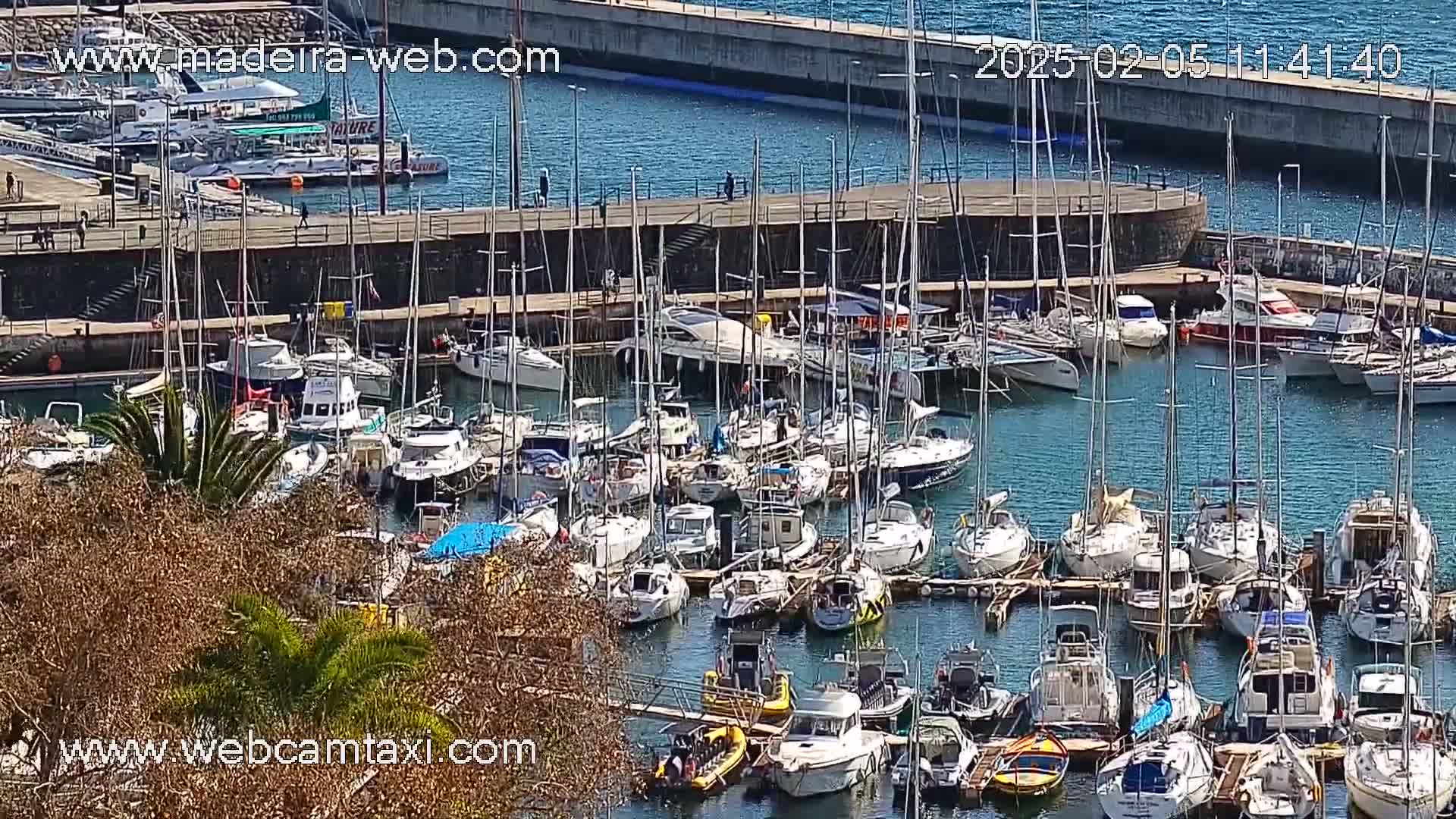 A marina filled with numerous sailboats and motorboats is viewed from an elevated position on a sunny day.