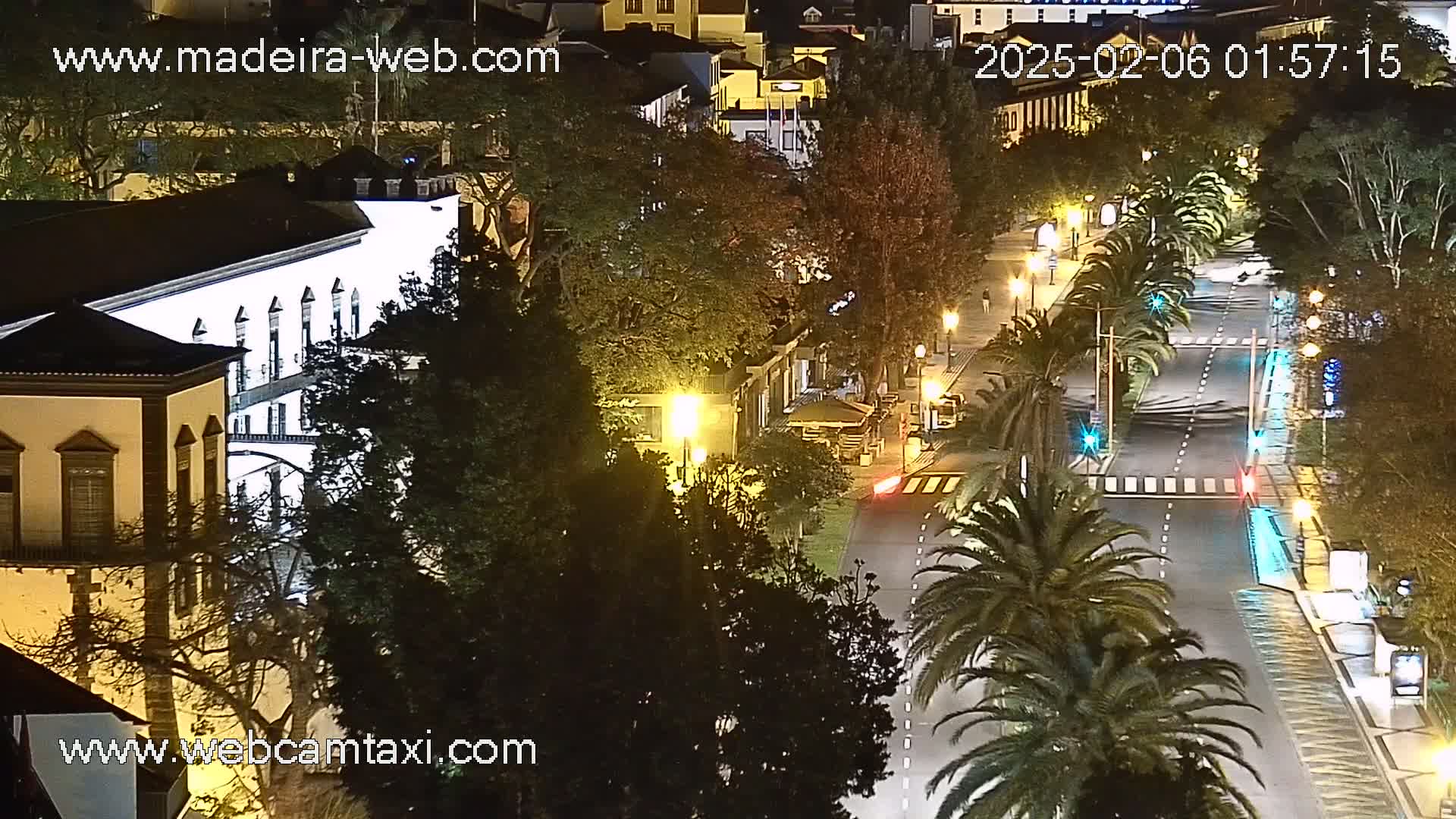 A nighttime aerial view of a city street lined with palm trees and streetlights, with buildings and trees visible on either side of the road.