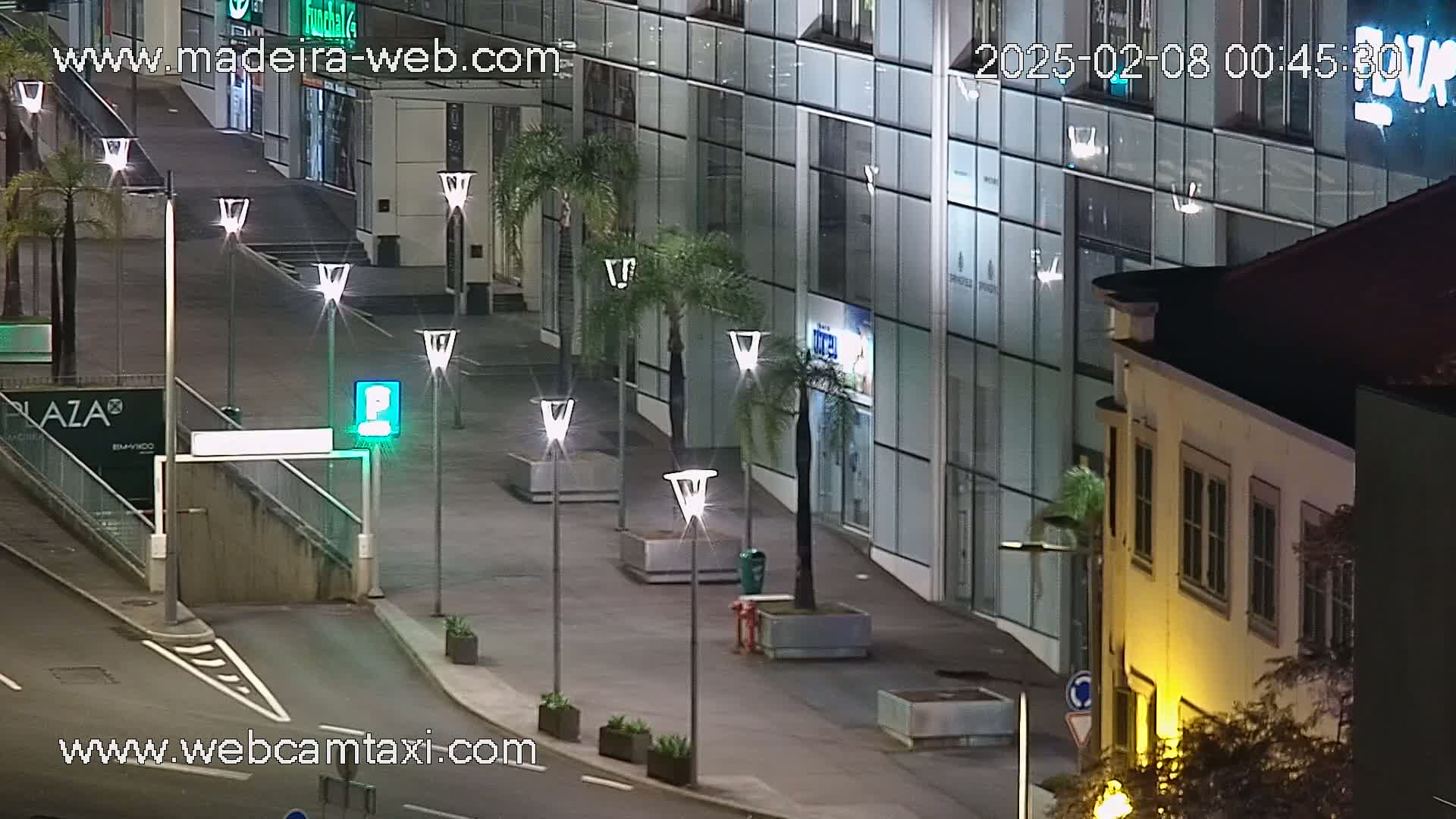 A nighttime, street-level view shows a paved plaza with several palm trees in planters, streetlights, and modern buildings.