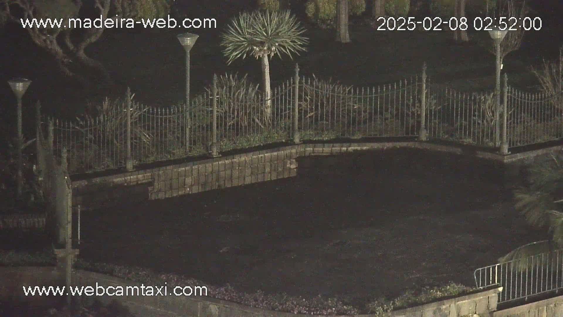 A dark, empty area enclosed by a low stone wall and wrought-iron fence is illuminated at night by several streetlights, with some low vegetation visible.