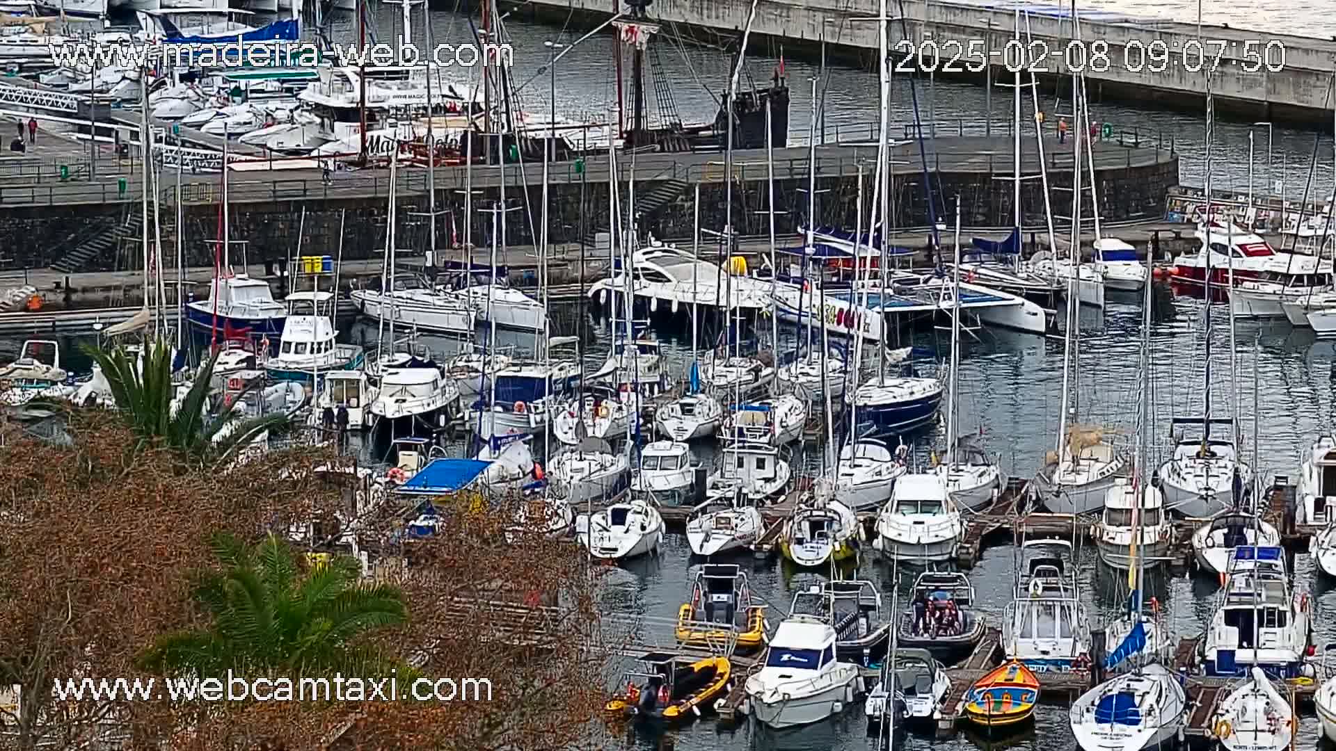 A marina filled with numerous sailboats and motorboats on a calm, overcast day.
