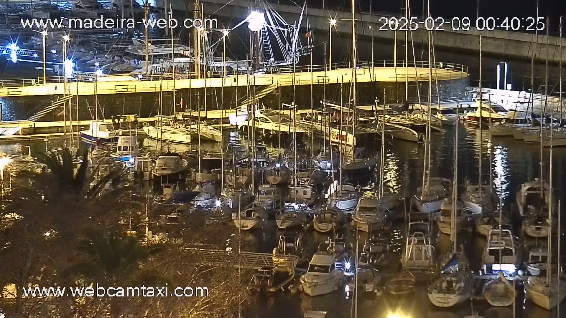 A nighttime view of a marina filled with numerous boats and yachts docked under calm water.