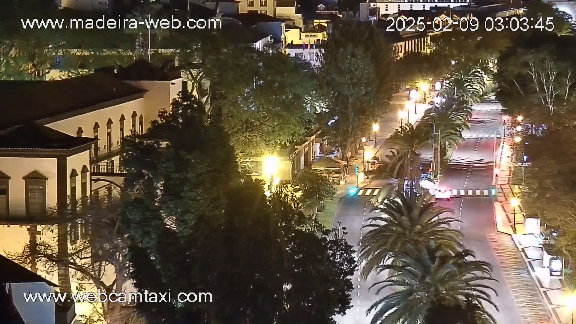 A nighttime, high-angle view of a city street illuminated by streetlights, lined with palm trees and buildings, with a few cars visible on the road.