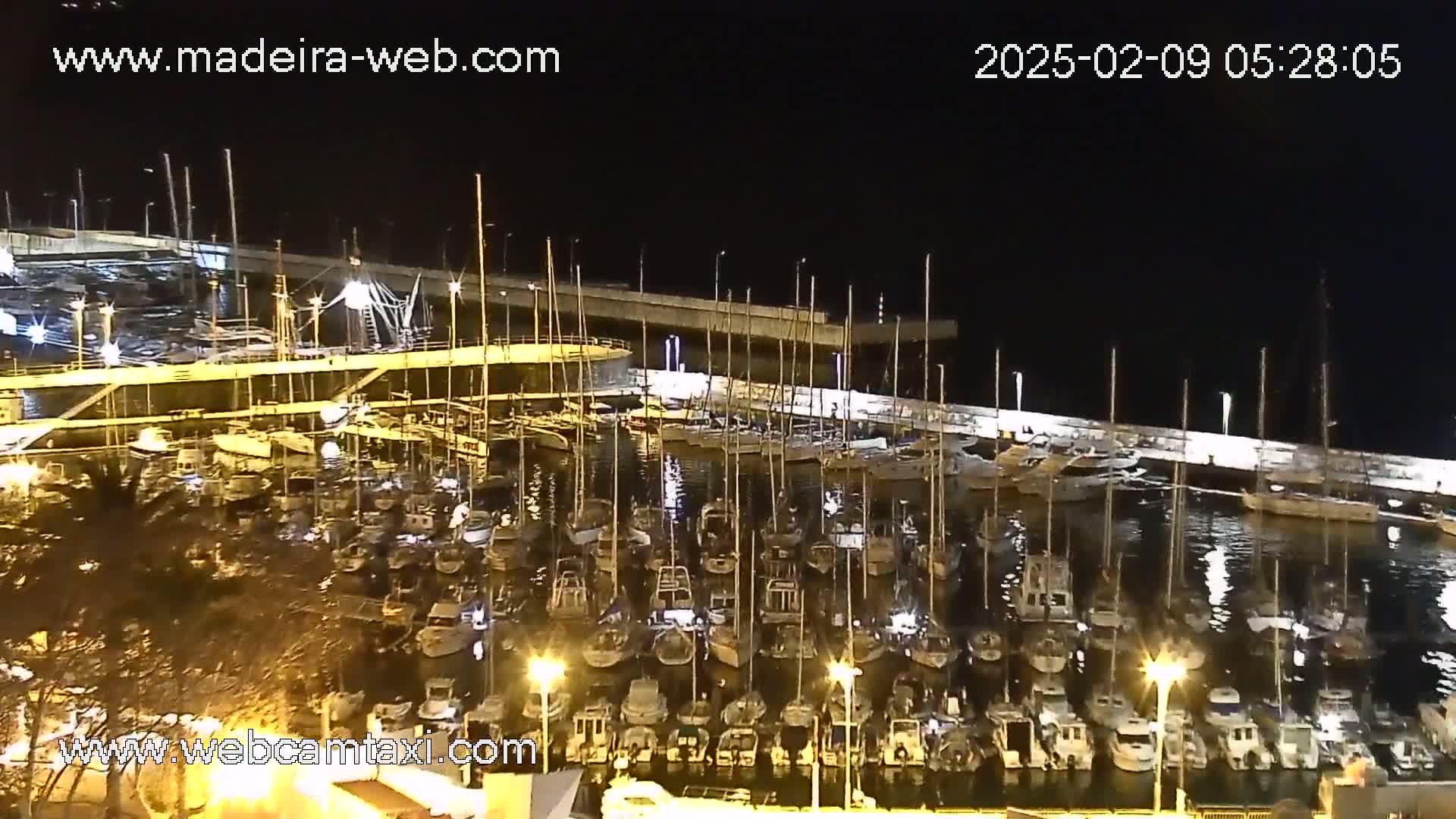 A nighttime view of a marina filled with numerous boats docked along a lit waterfront.