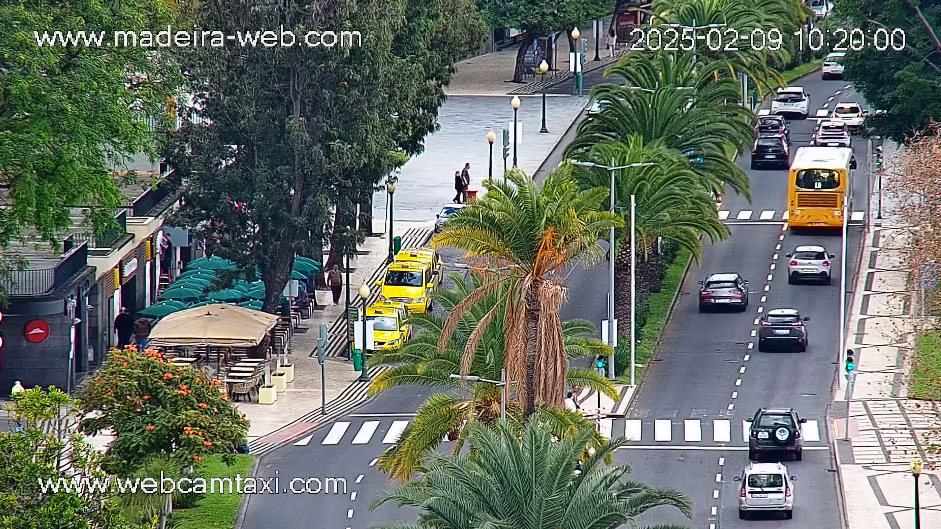 A street scene shows several cars and a bus traveling on a road lined with palm trees and buildings, under an overcast sky.