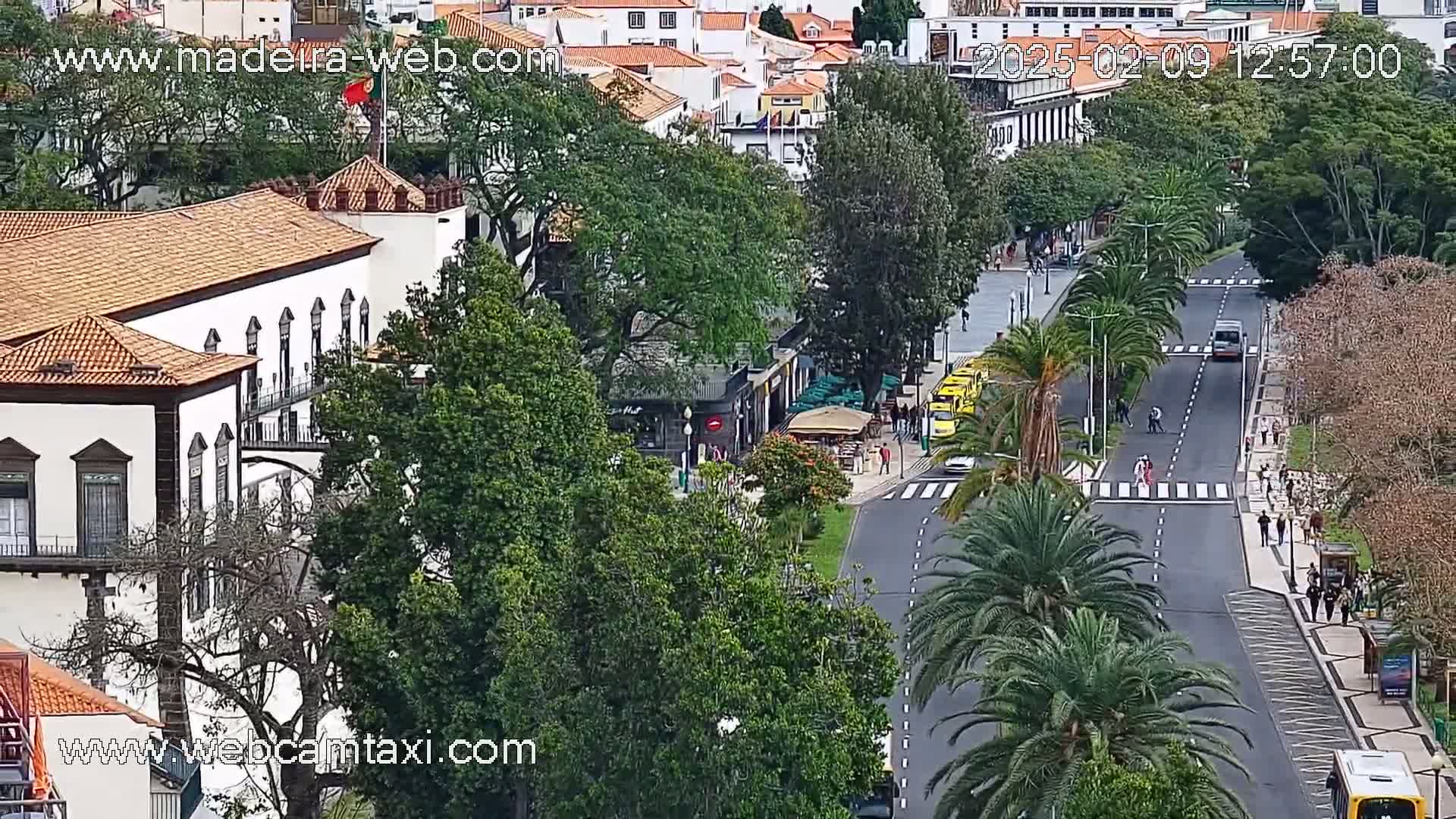 A high-angle view shows a street scene with palm trees lining a roadway where pedestrians and vehicles are visible on an overcast day, and a large building with a terracotta roof is seen in the foreground.