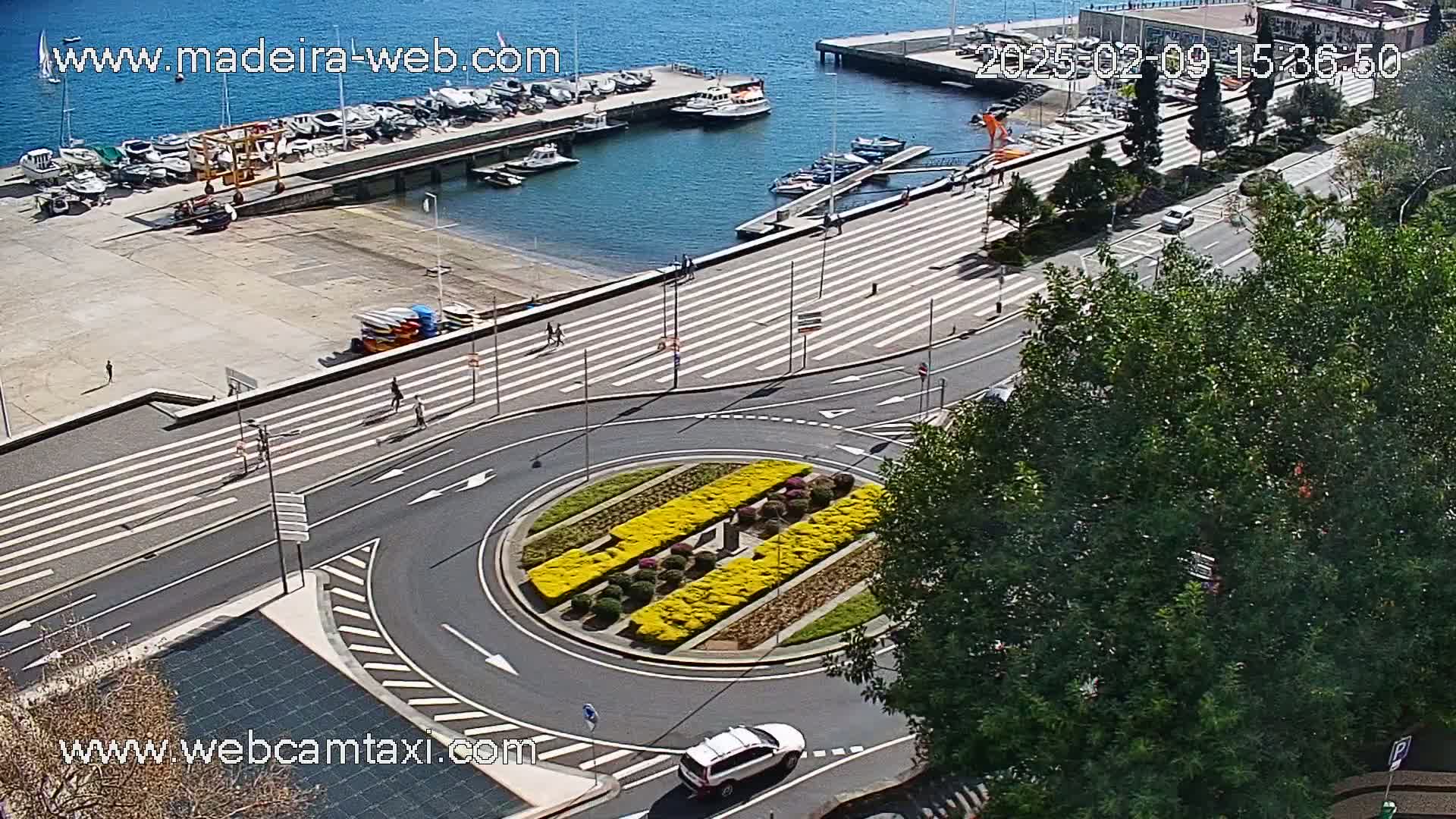 An aerial view shows a harbor with several boats, a roadway with a roundabout featuring yellow flowers, and pedestrians walking along a waterfront promenade on a sunny day.