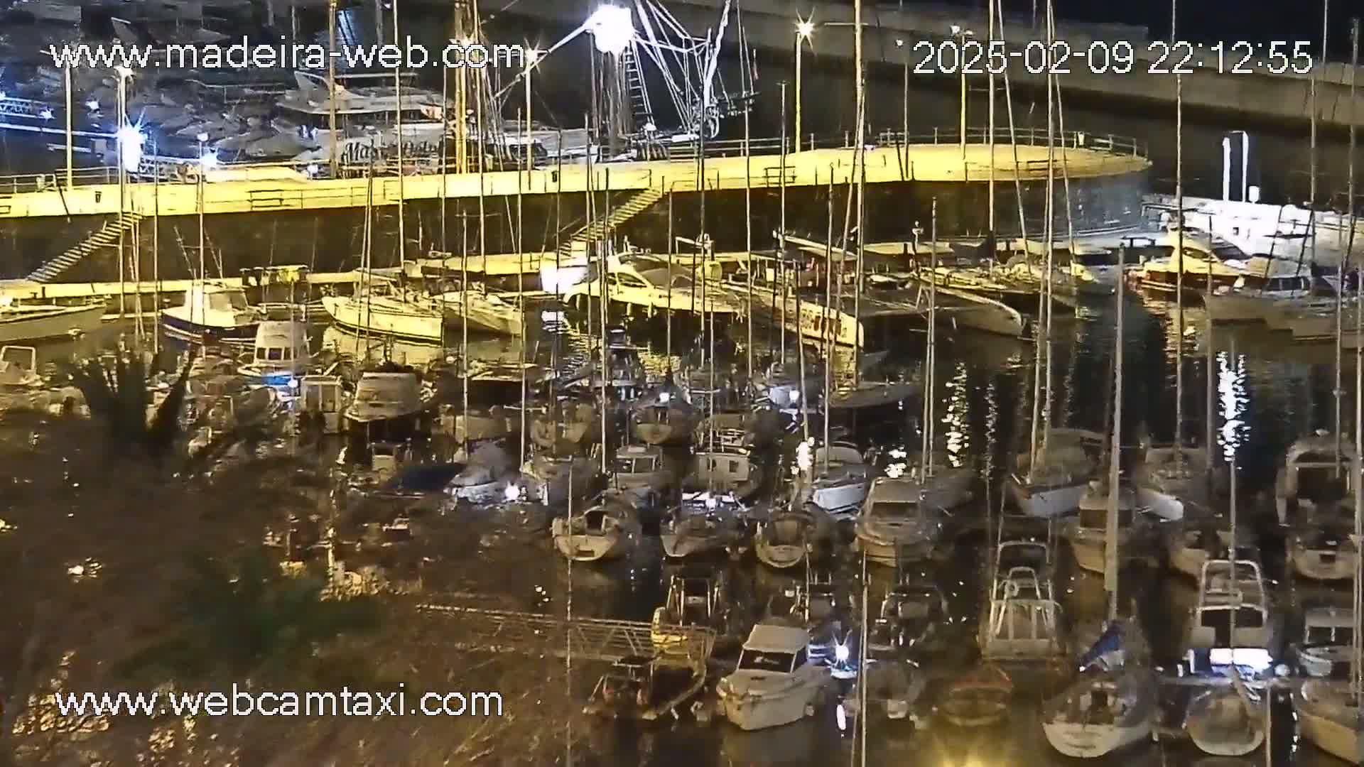 A marina at night, filled with numerous sailboats and motorboats docked along a pier under calm water.