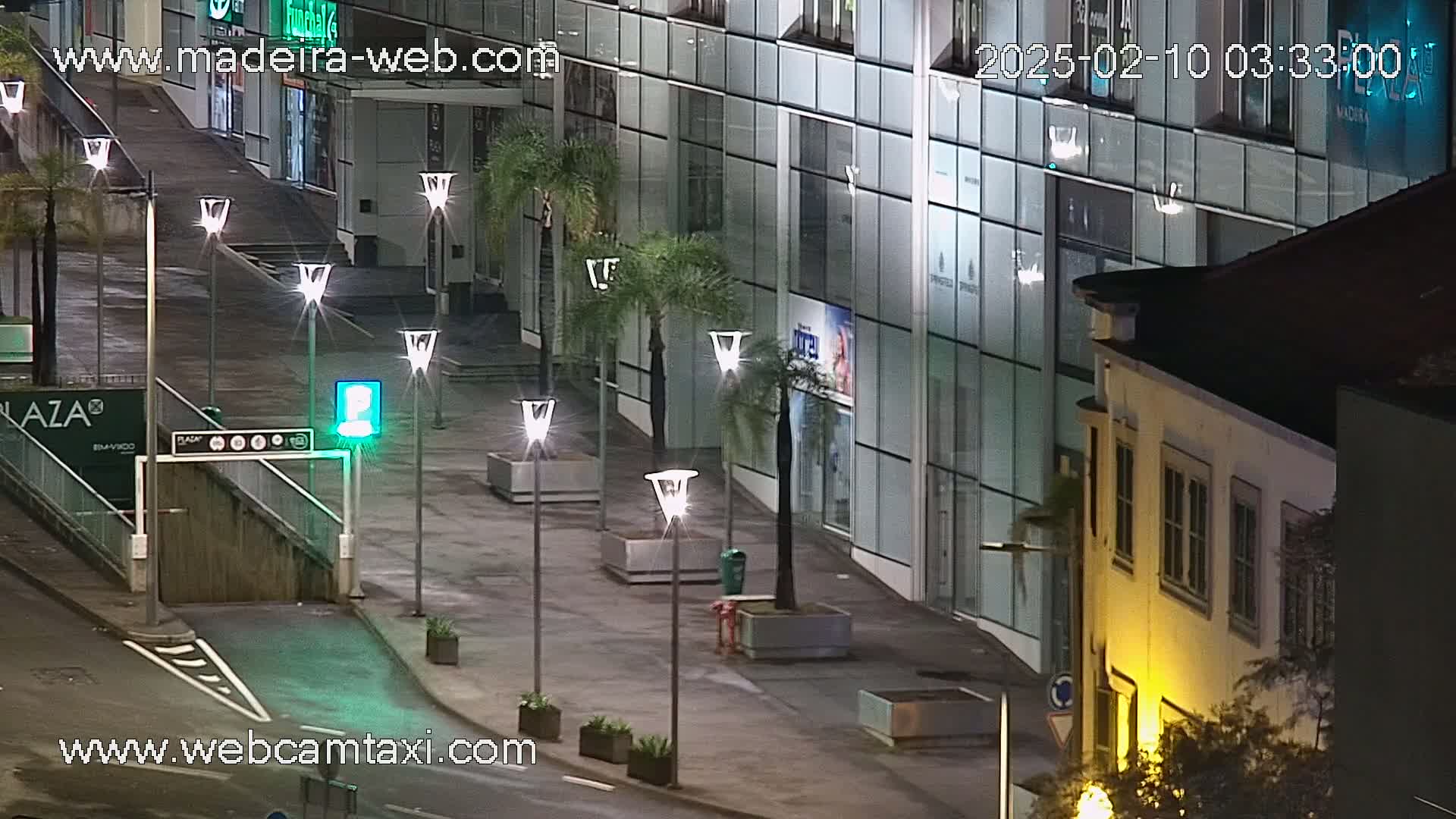 A nighttime view of a city street with palm trees, modern buildings, and streetlights.