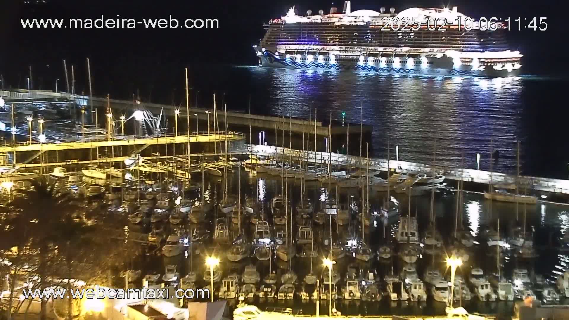 A large cruise ship is docked in the harbor at night, with many smaller boats moored nearby in calm water.