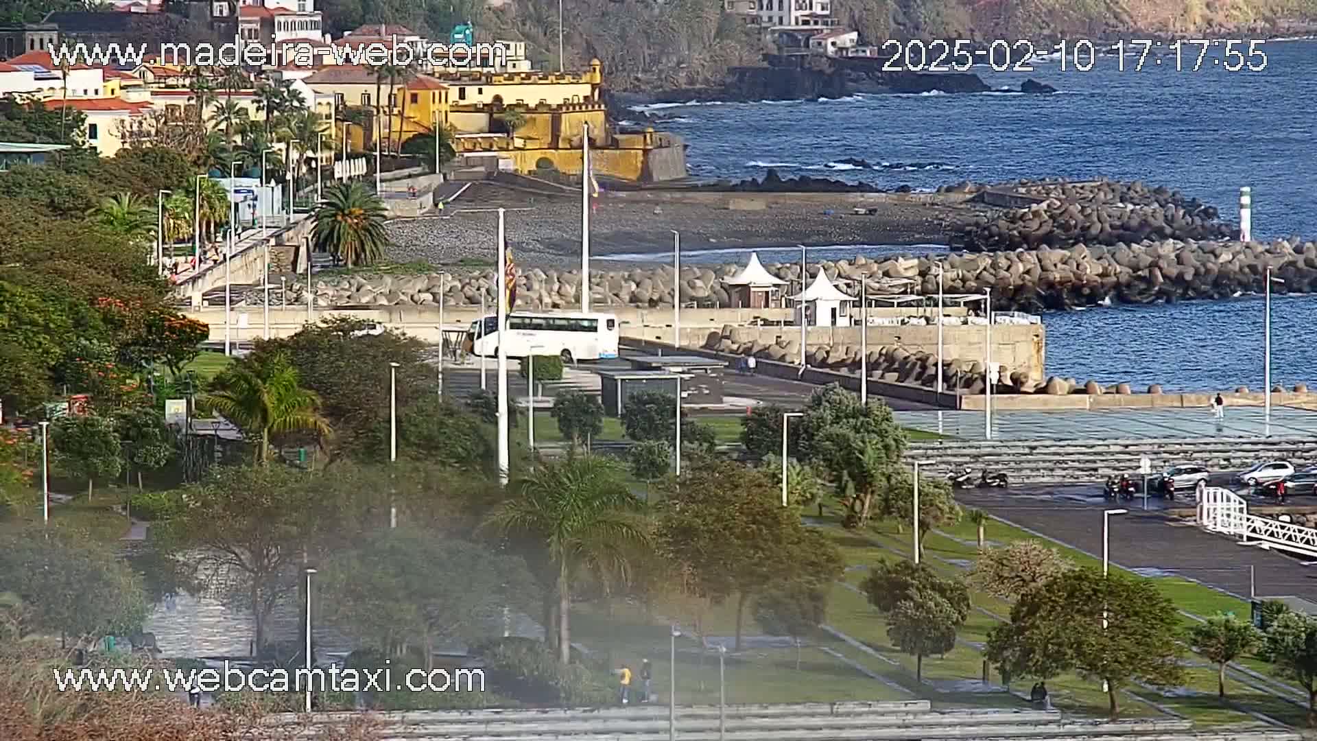 A coastal scene shows a paved area with parked cars and a bus, next to a park with lush vegetation, overlooking a rocky shoreline with a calm ocean.