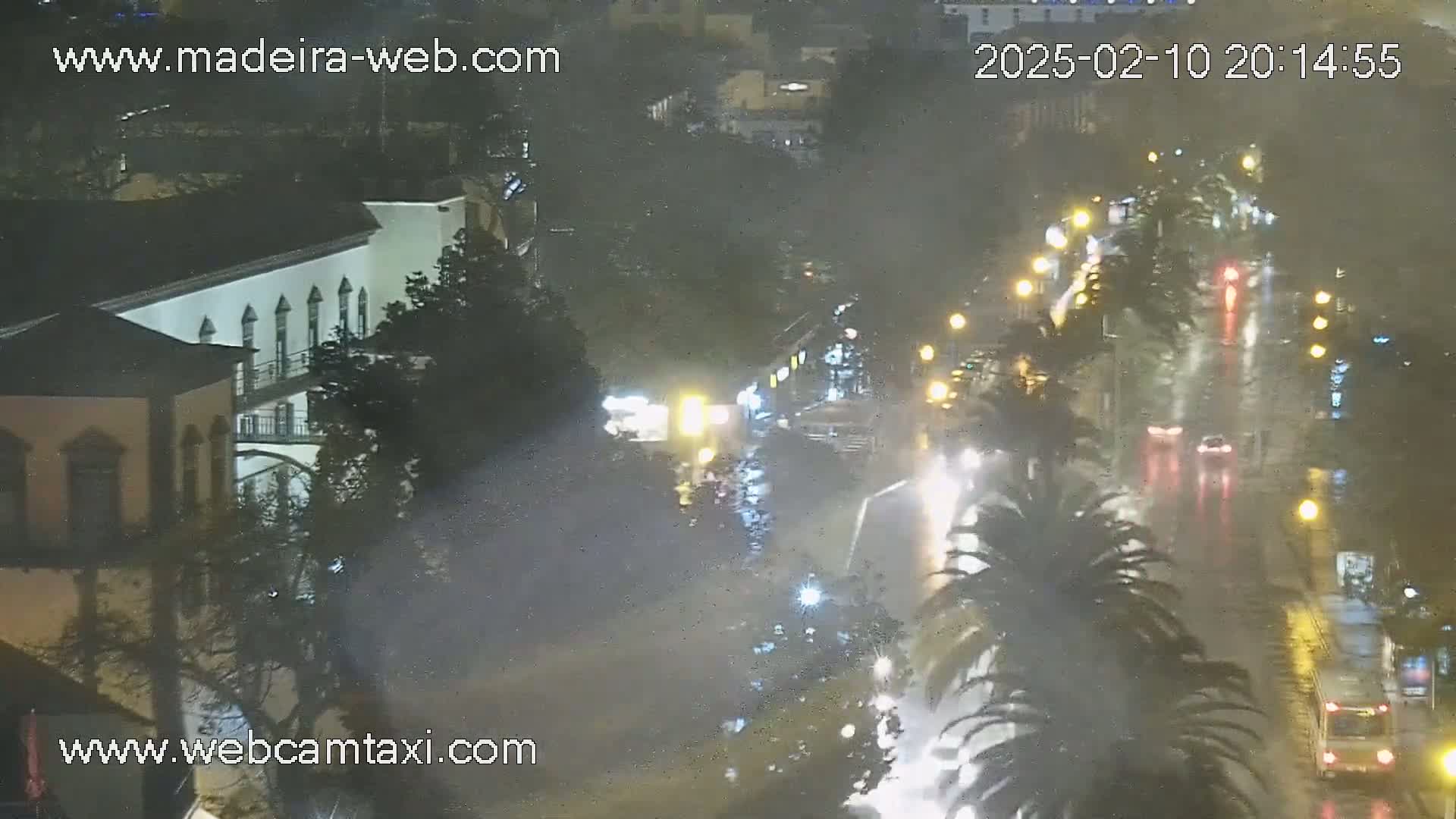 A nighttime, rain-soaked street scene shows cars driving on a wet road lined with palm trees and buildings.