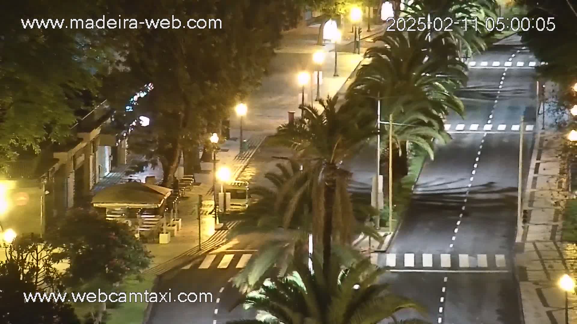A nighttime street scene shows a mostly empty road lined with palm trees and streetlights, with a few vehicles visible in the distance.