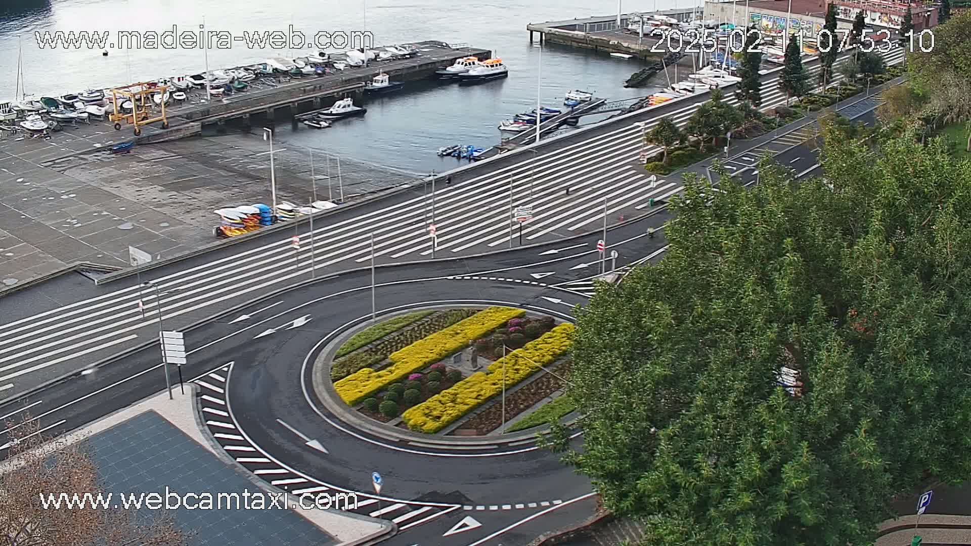 An aerial view shows a roundabout with yellow flowers in the center, surrounded by a harbor with several boats and a roadway with pedestrian crossings.