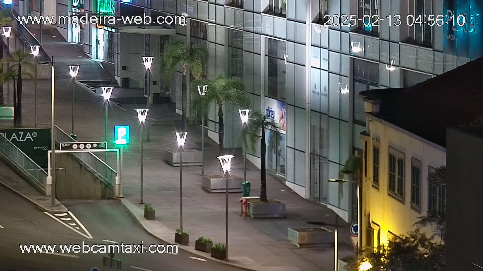 An empty plaza at night, illuminated by streetlights, with palm trees lining a walkway next to modern buildings.