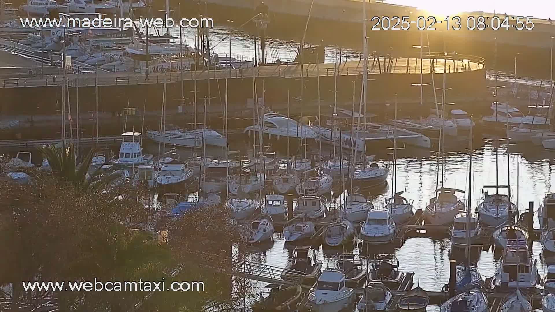 Many sailboats and motorboats are docked in a marina at sunrise.