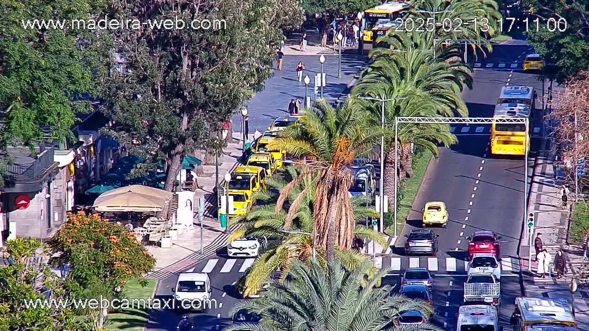 A sunny street scene shows numerous cars and buses, some yellow taxis, moving along a road lined with palm trees and buildings, with pedestrian crossings visible.