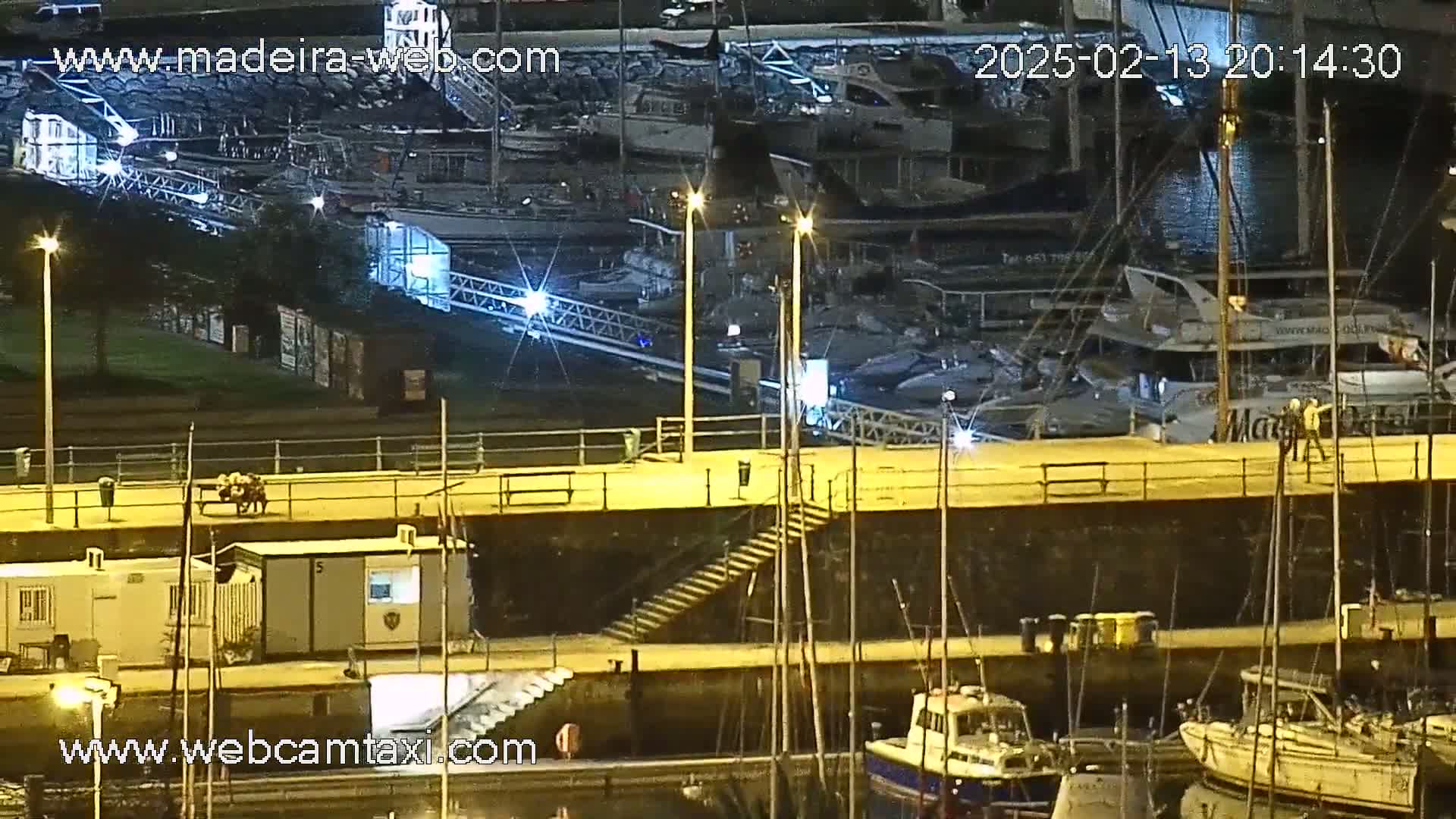 A nighttime view of a marina with numerous boats docked, illuminated by artificial lights, under clear skies.