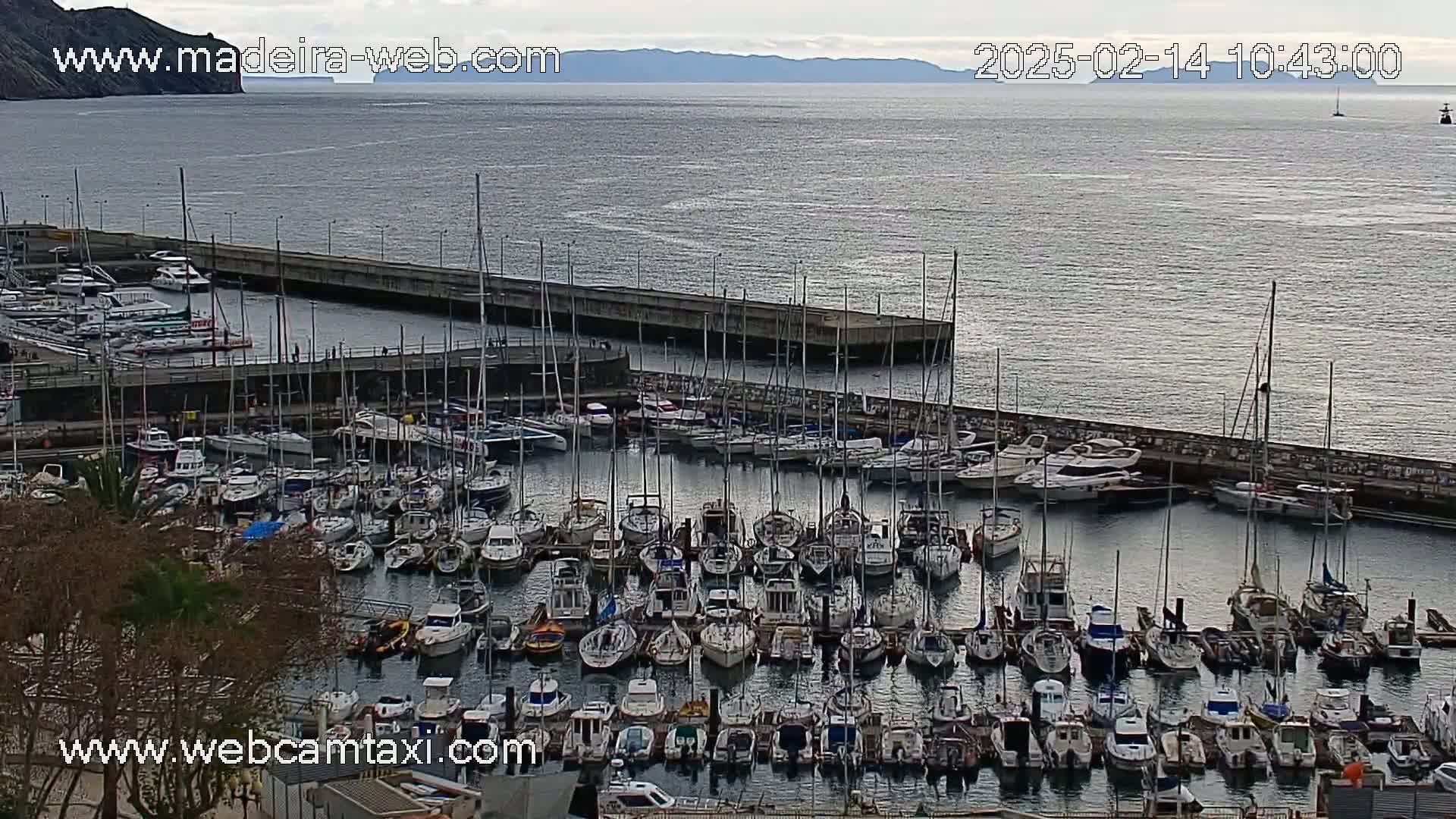 A harbor filled with numerous boats and yachts is seen on an overcast day, with mountains visible in the distance.