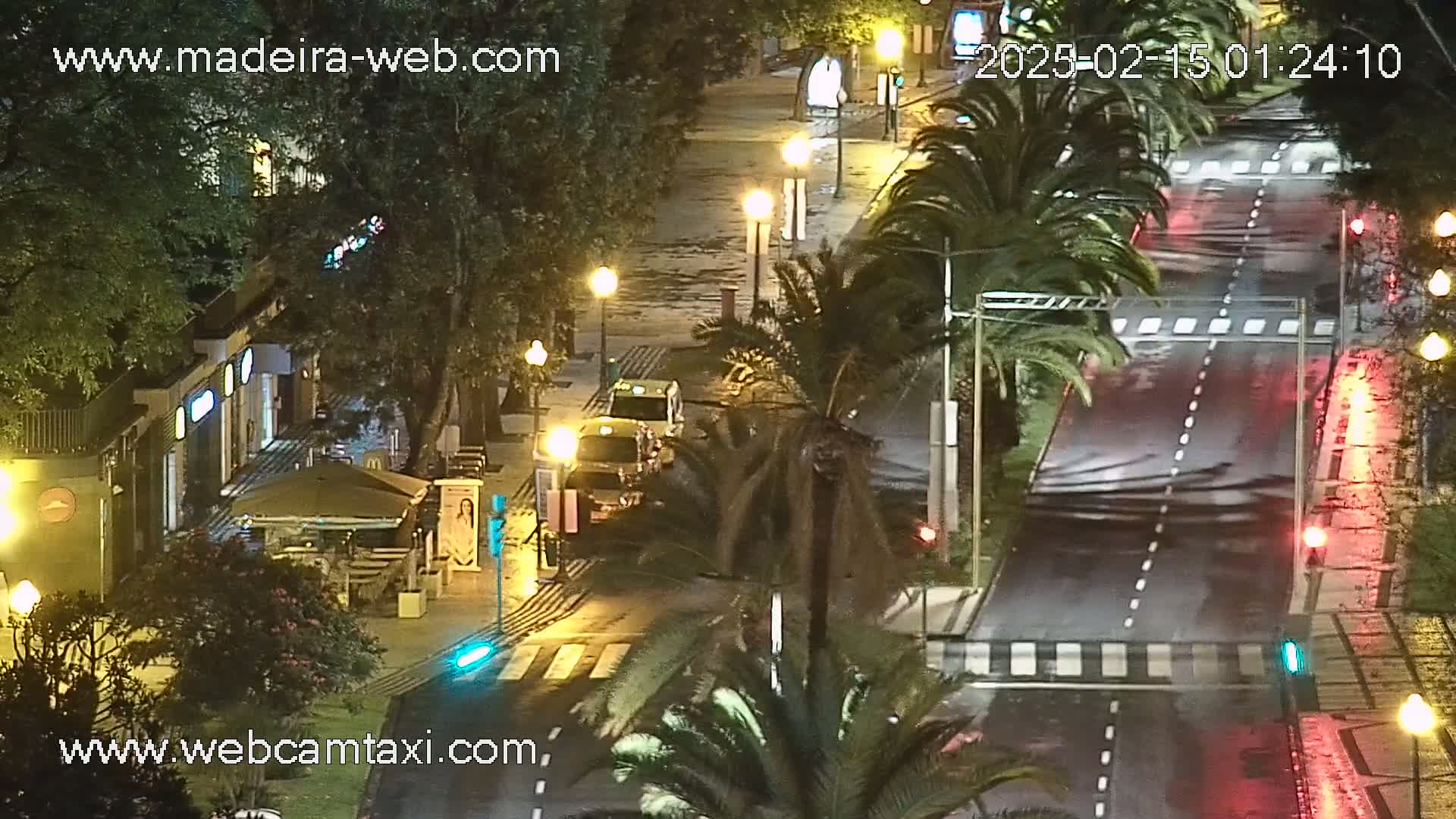 A wet, nighttime street scene shows a few vehicles parked near buildings with palm trees lining the sides of the road.