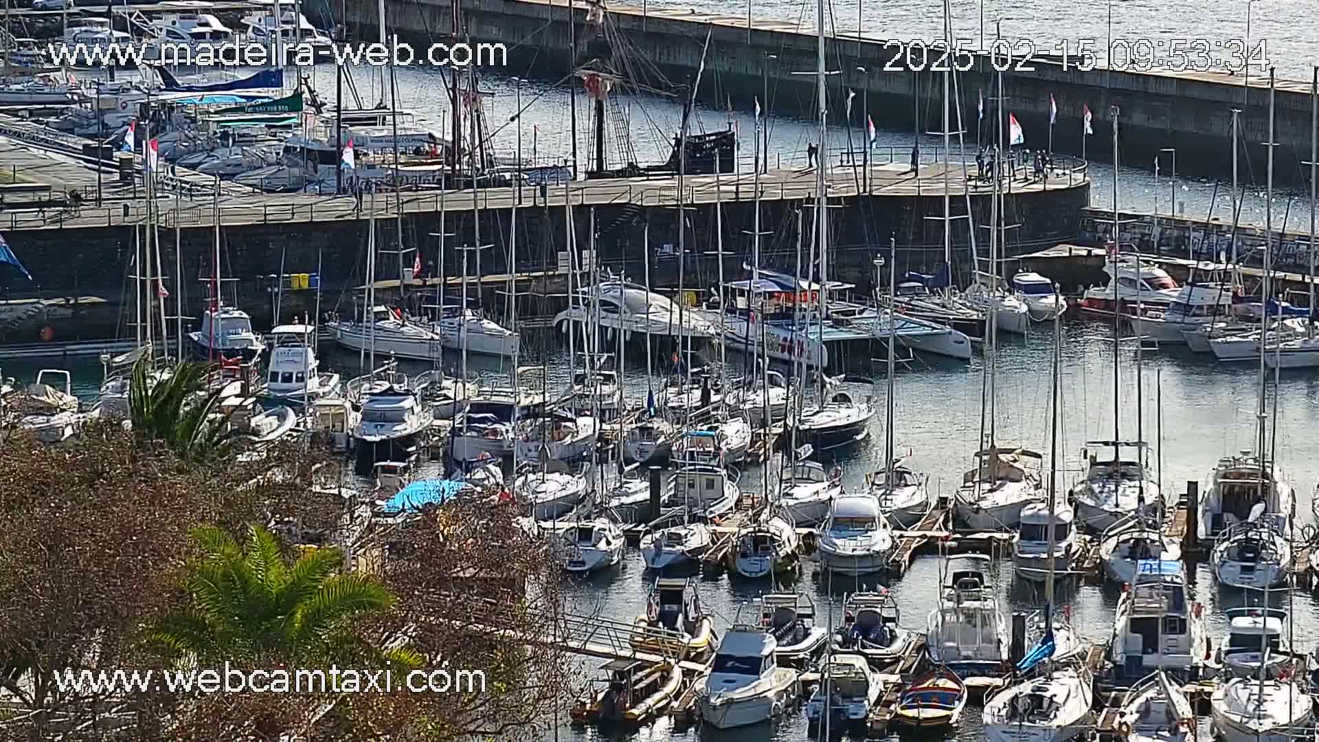 A marina filled with numerous sailboats and motorboats on a sunny day.