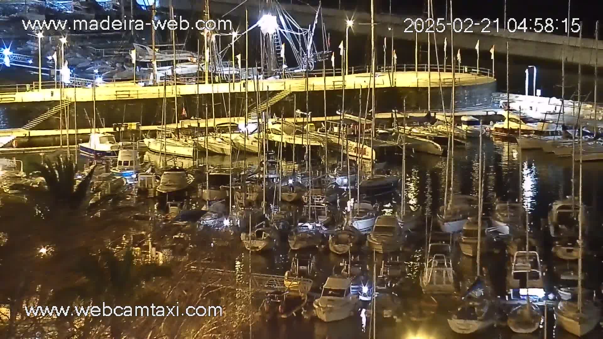 A nighttime view of a marina filled with numerous sailboats and motorboats, moored closely together in calm water.
