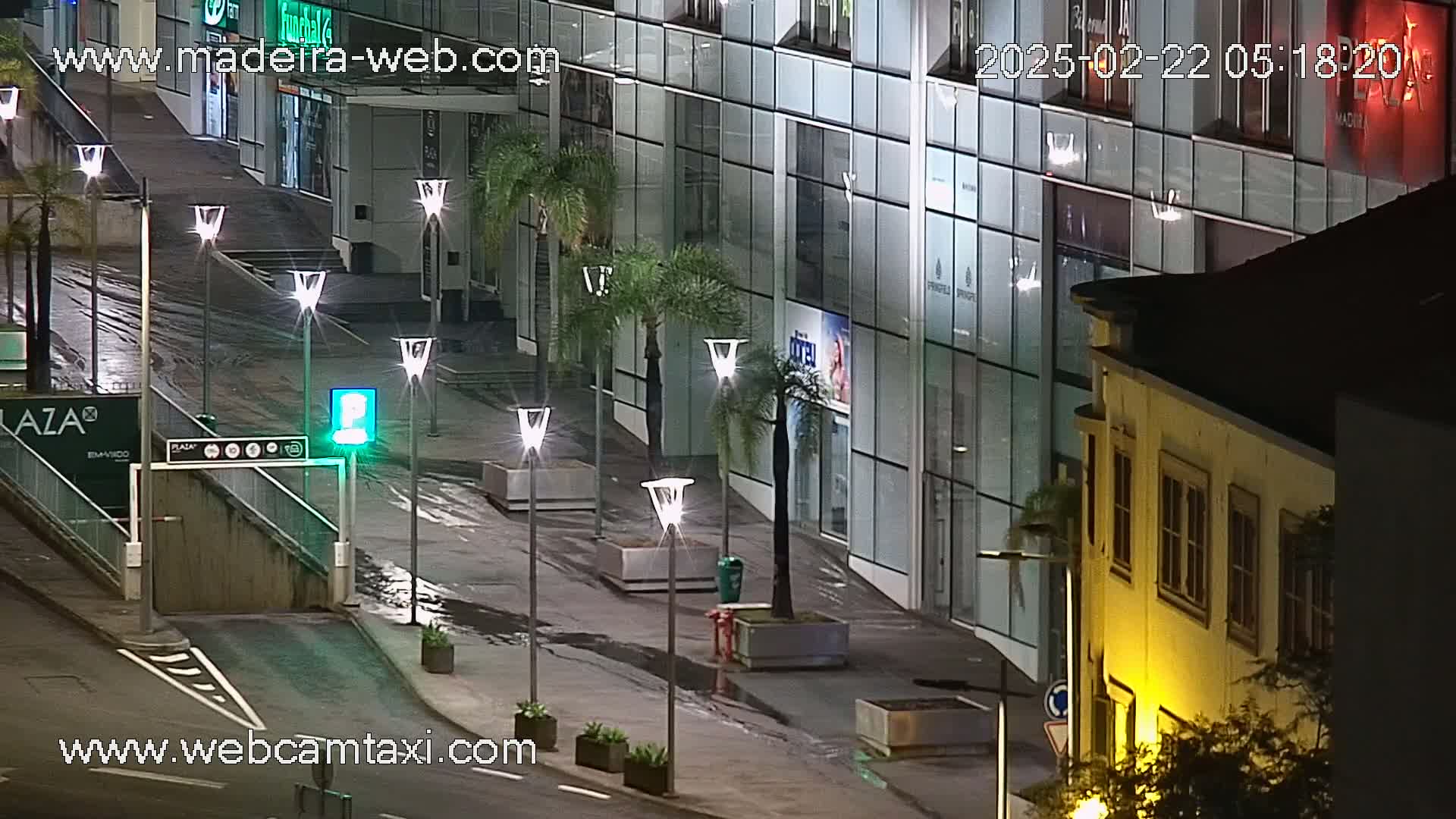 A wet, nighttime street scene shows a modern glass-fronted building and a smaller, older building, both illuminated by streetlights, with palm trees planted in planters along the sidewalk.